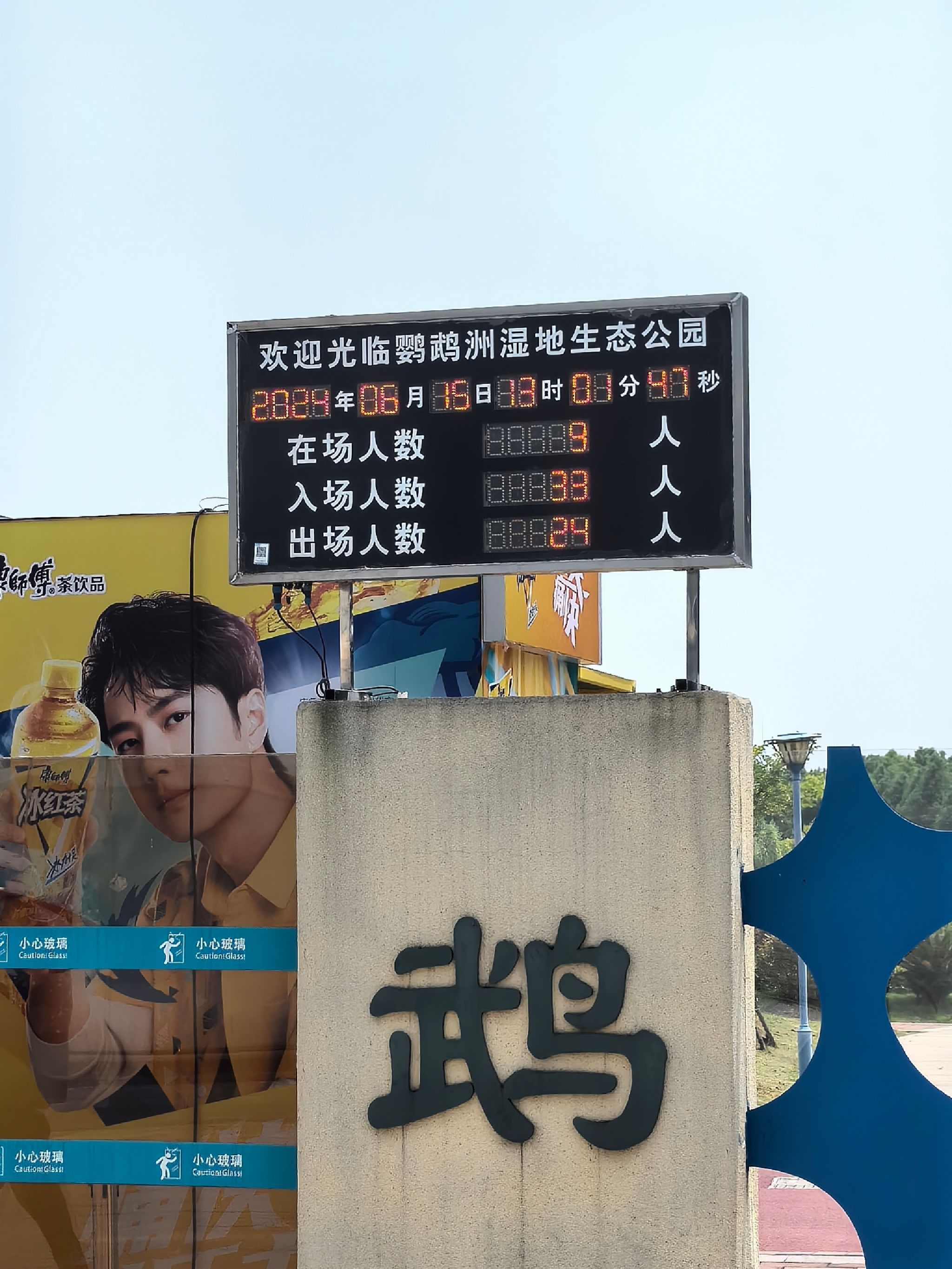 鹦鹉洲生态湿地旅行图片 2