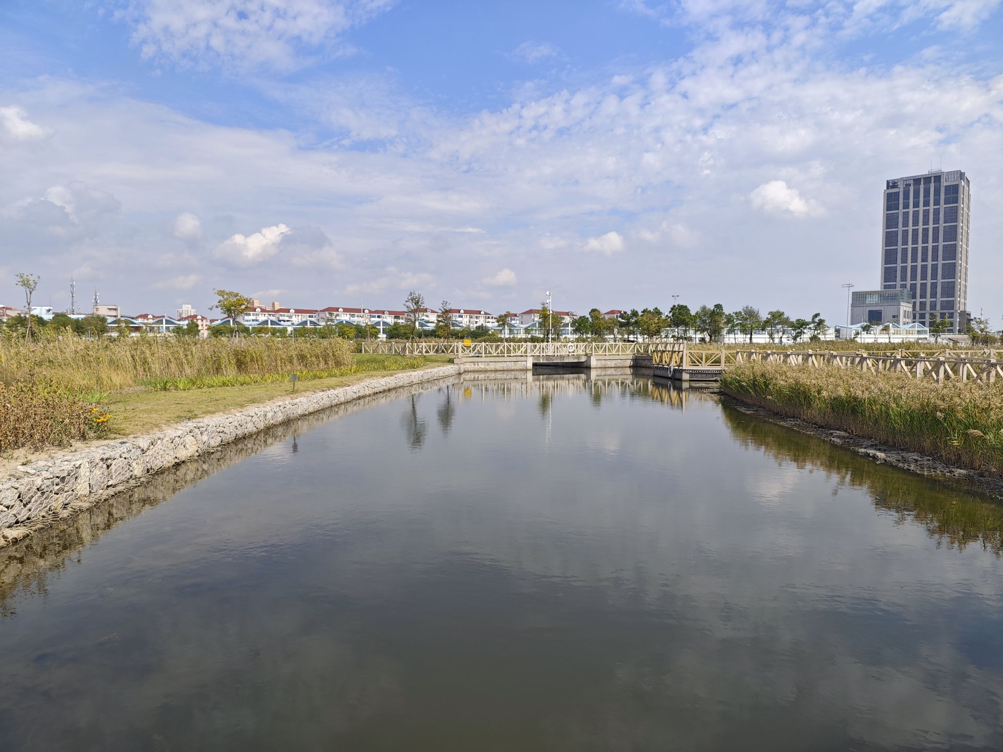鹦鹉洲生态湿地旅行图片 3