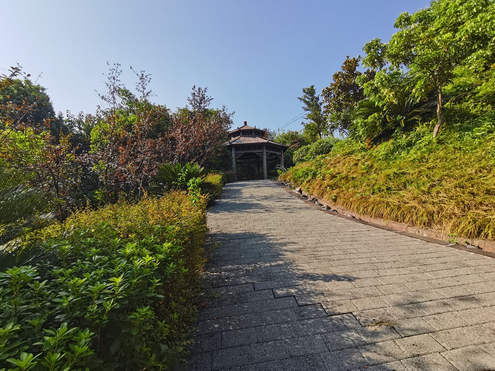 余庆公园旅行图片 2