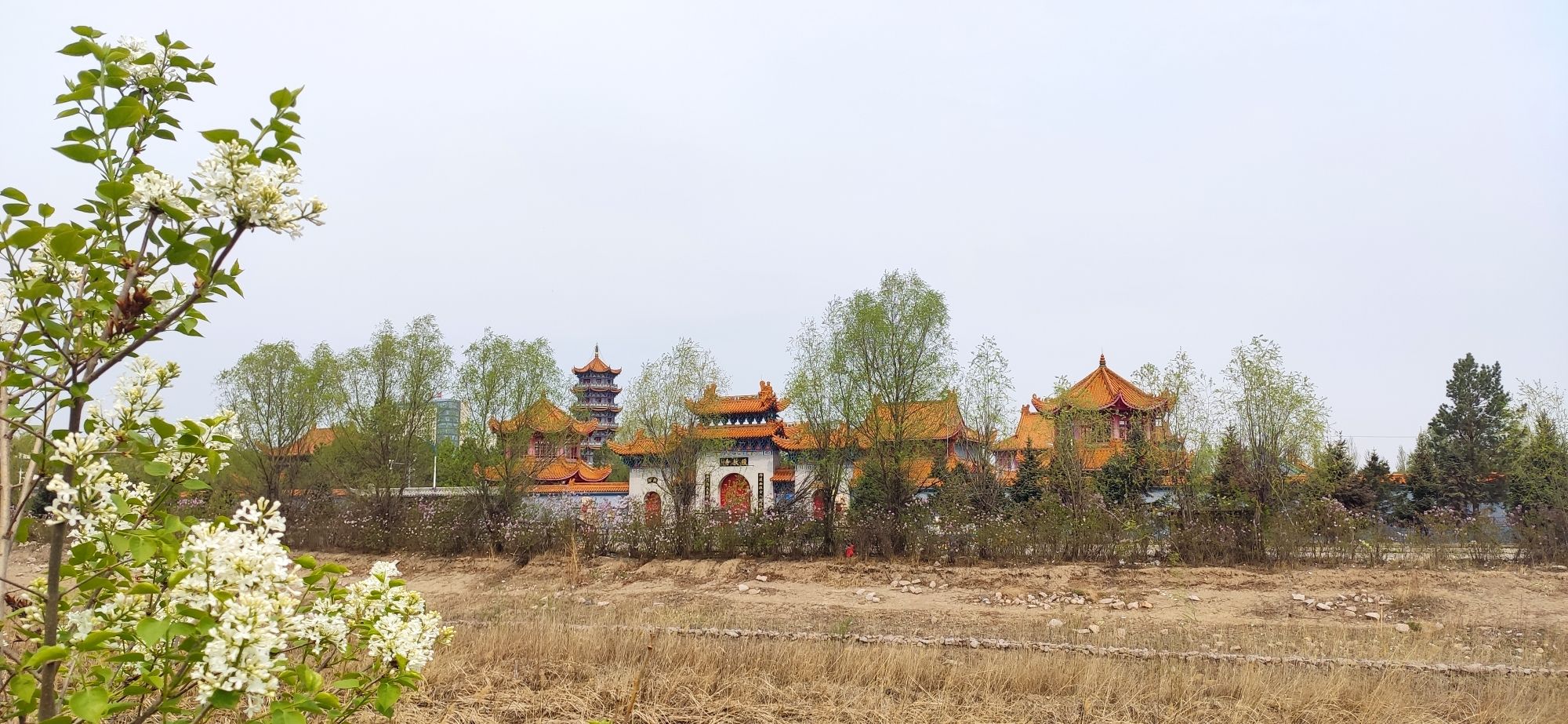 生态园林旅行图片
