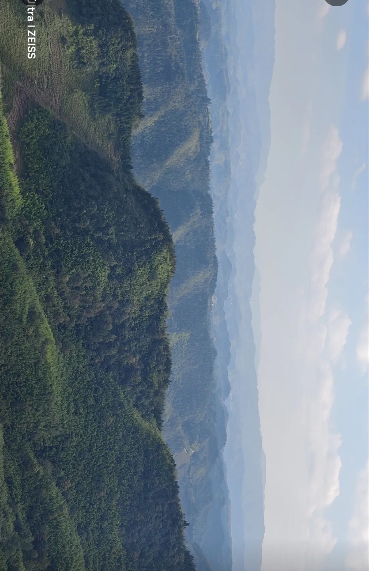 老厂竹海旅行图片 1