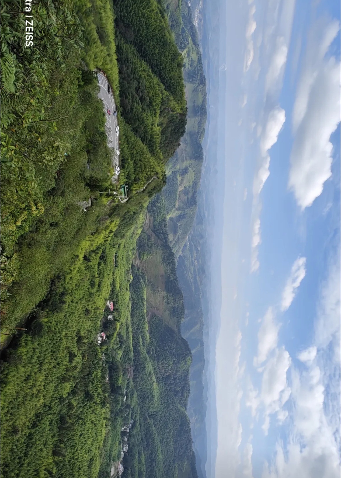 老厂竹海旅行图片 3