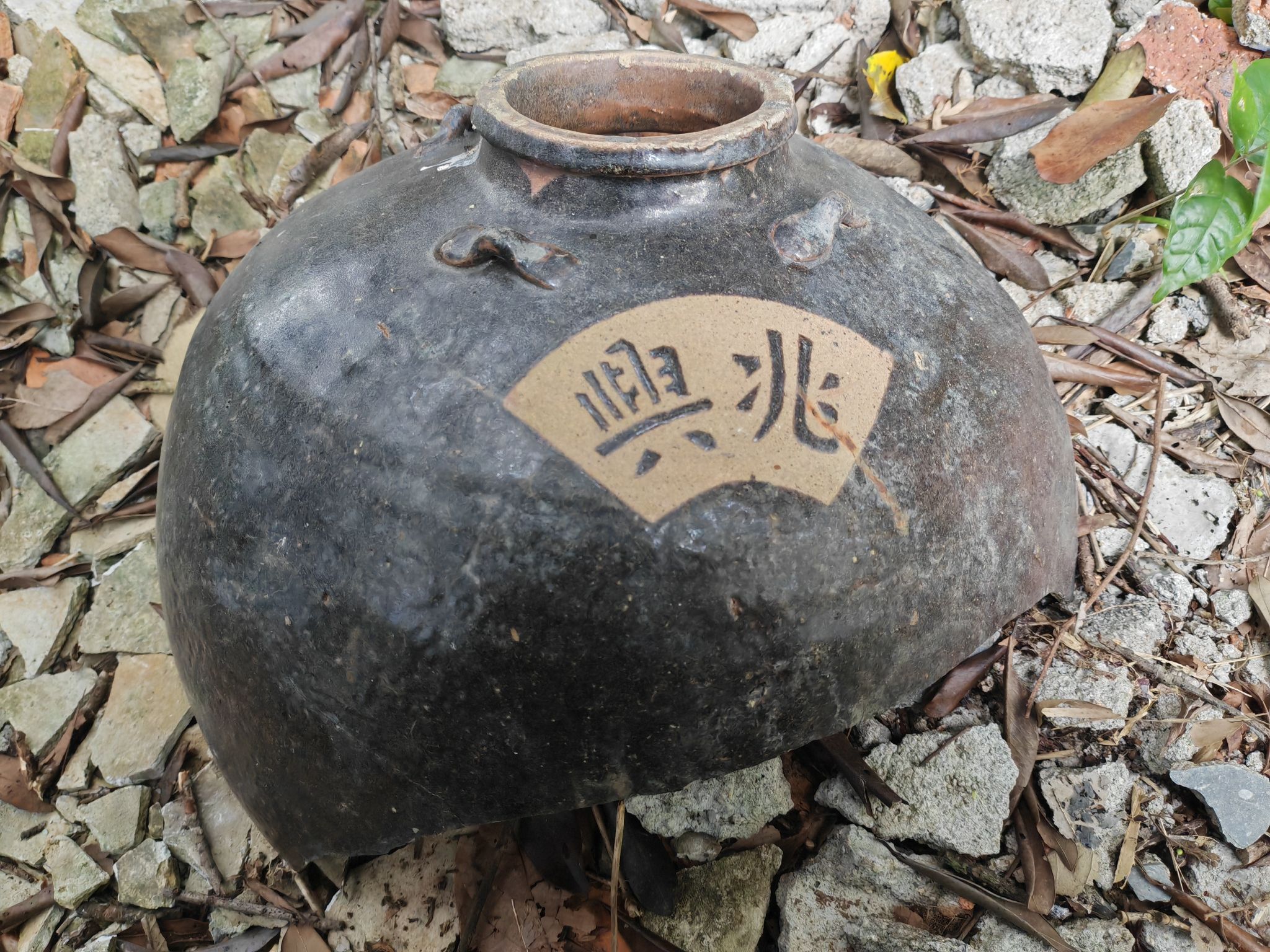 大洲村古村落旅行图片 2