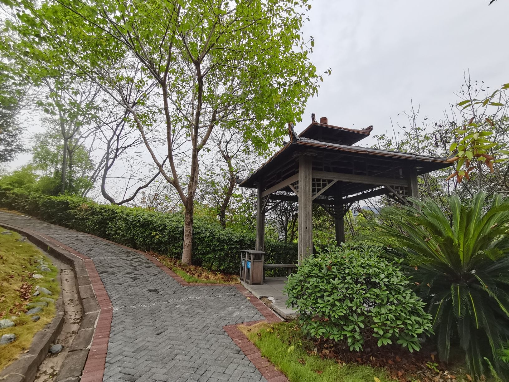 野庐公园旅行图片 3