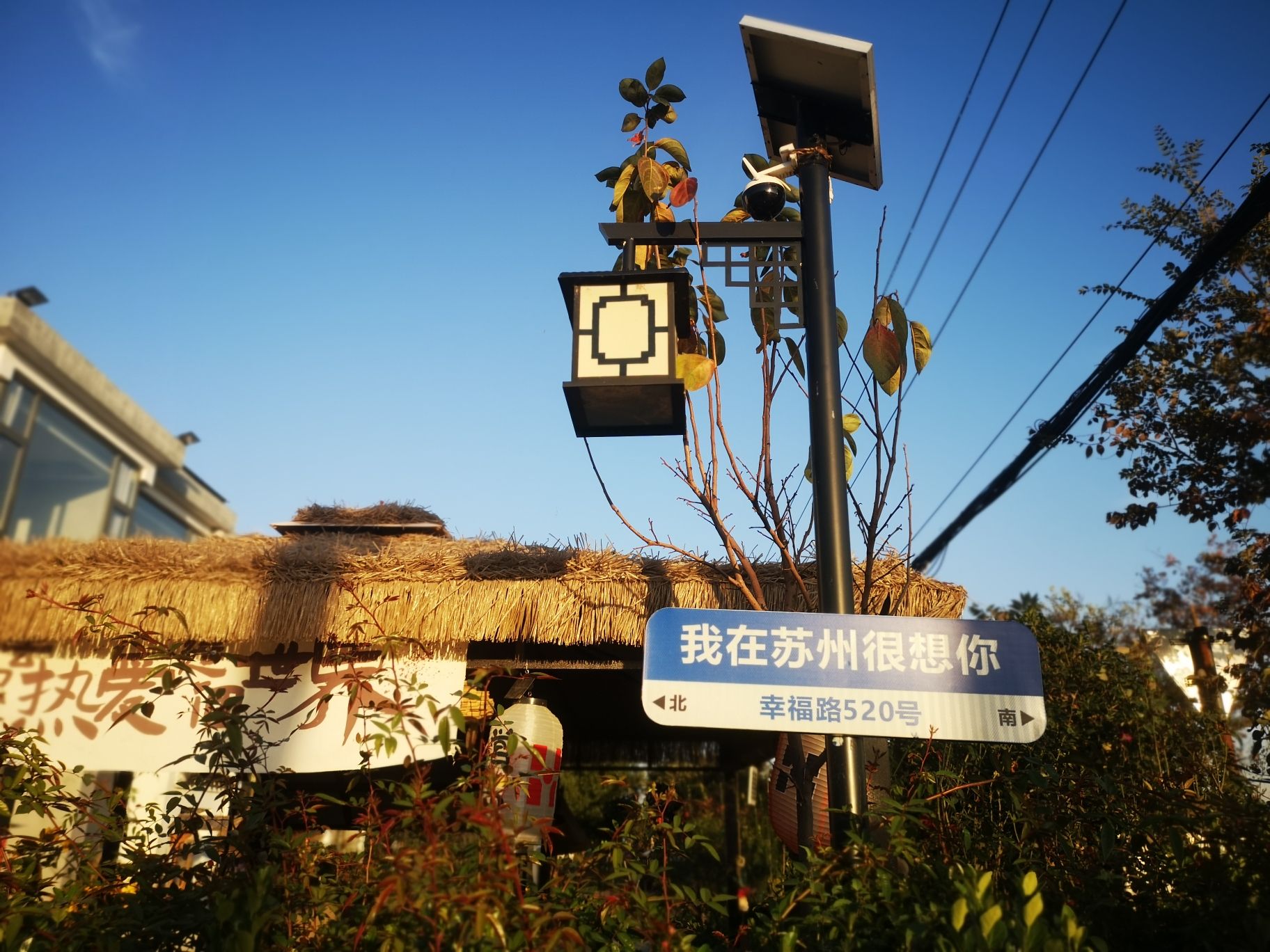 北太湖(望亭)旅游风景区旅行图片 2
