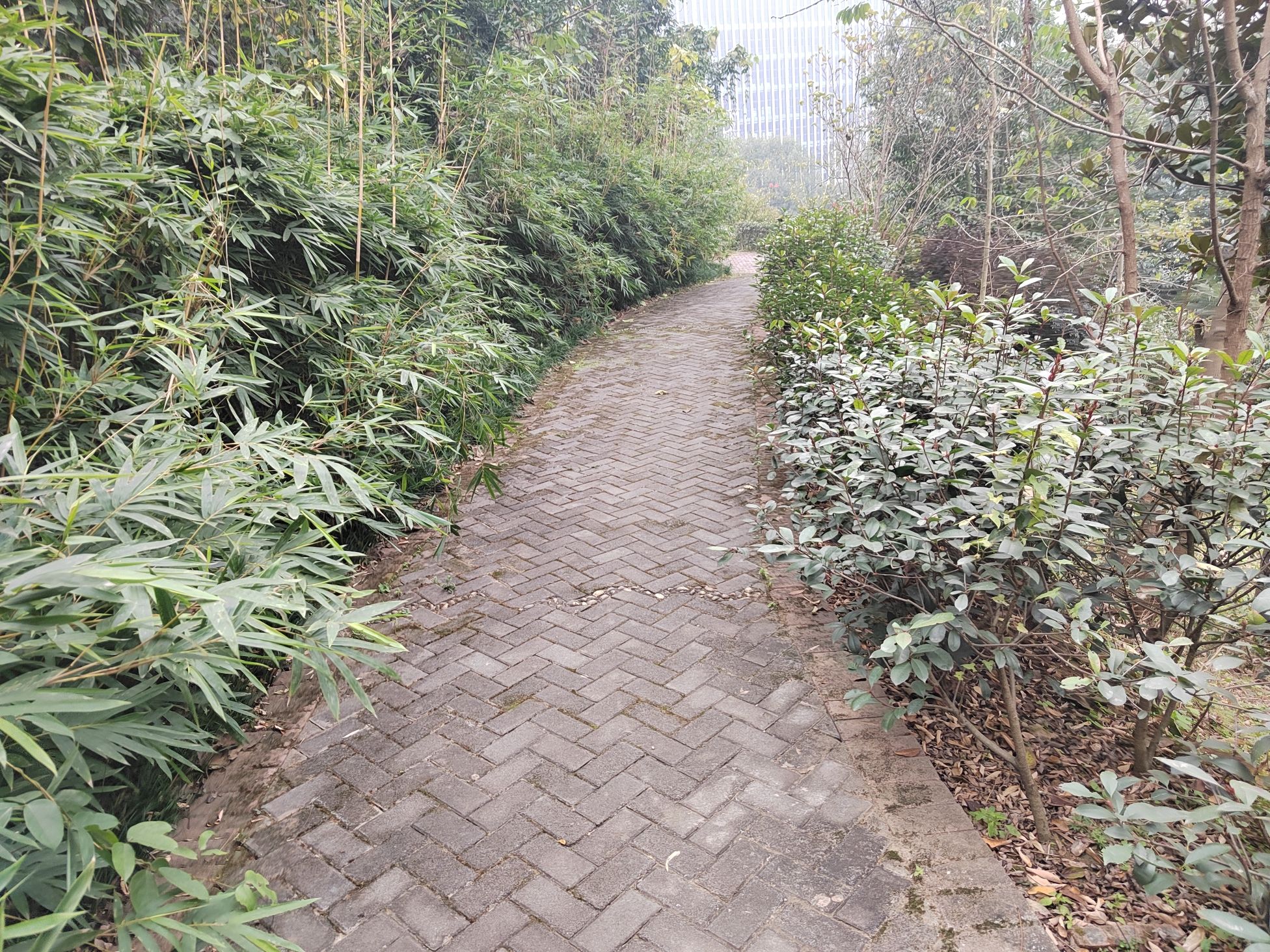 龙珰山公园旅行图片 2