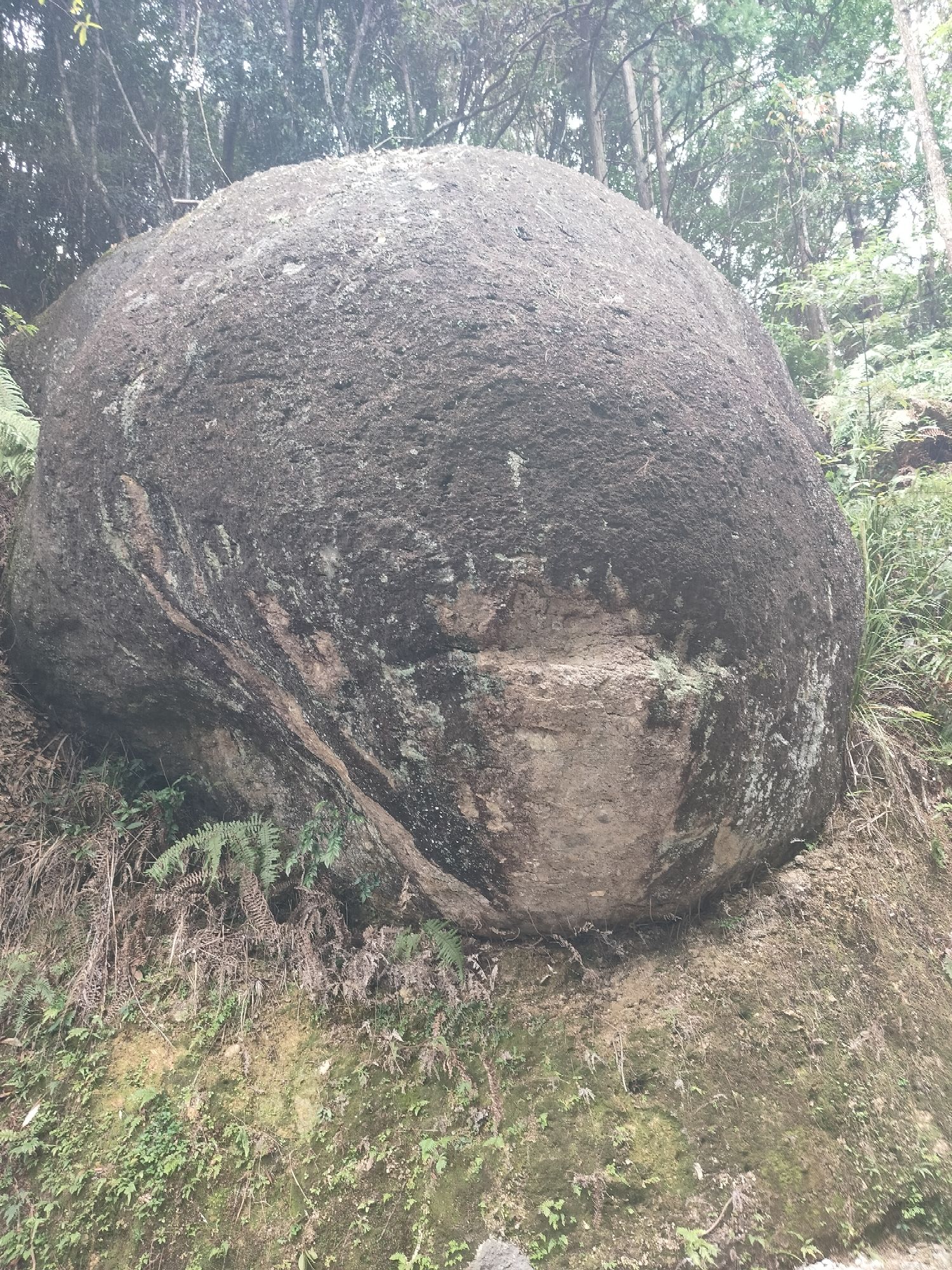 湖心岛旅行图片 3