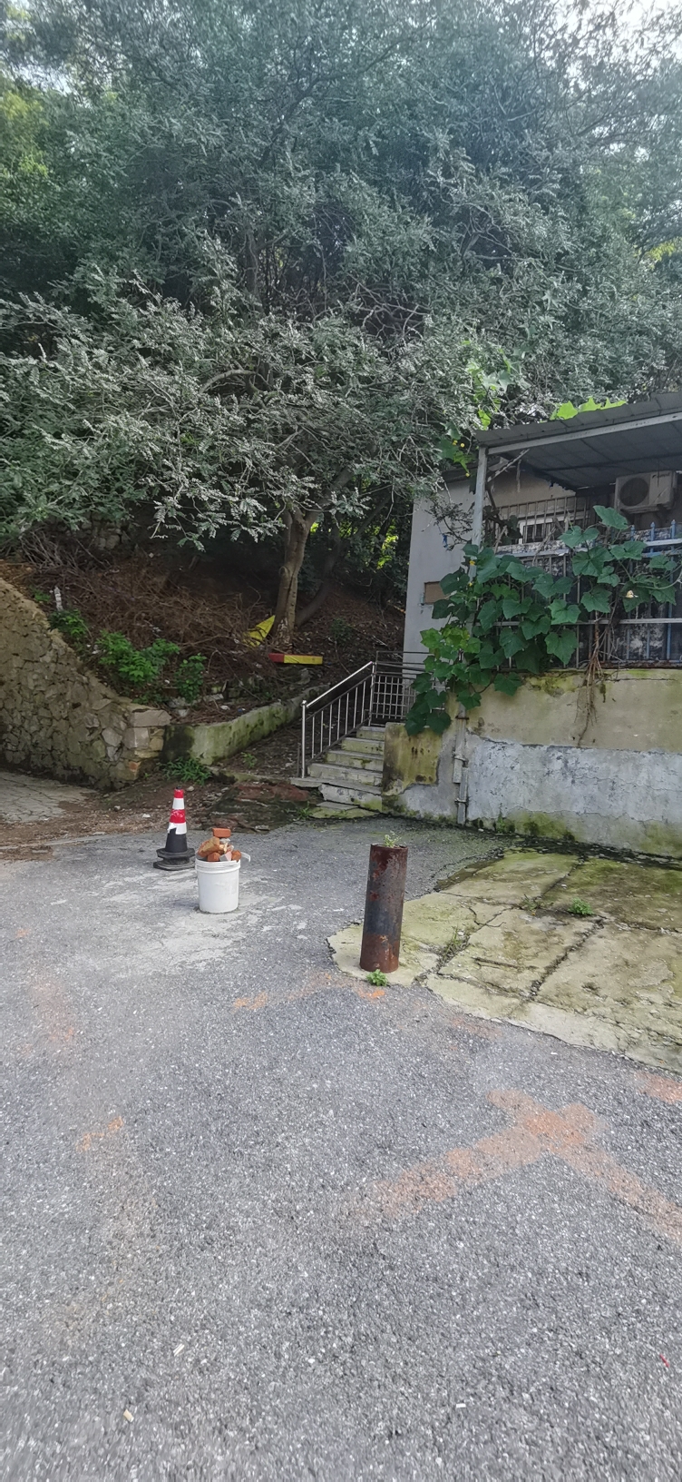 炮台山遗址旅行图片 2
