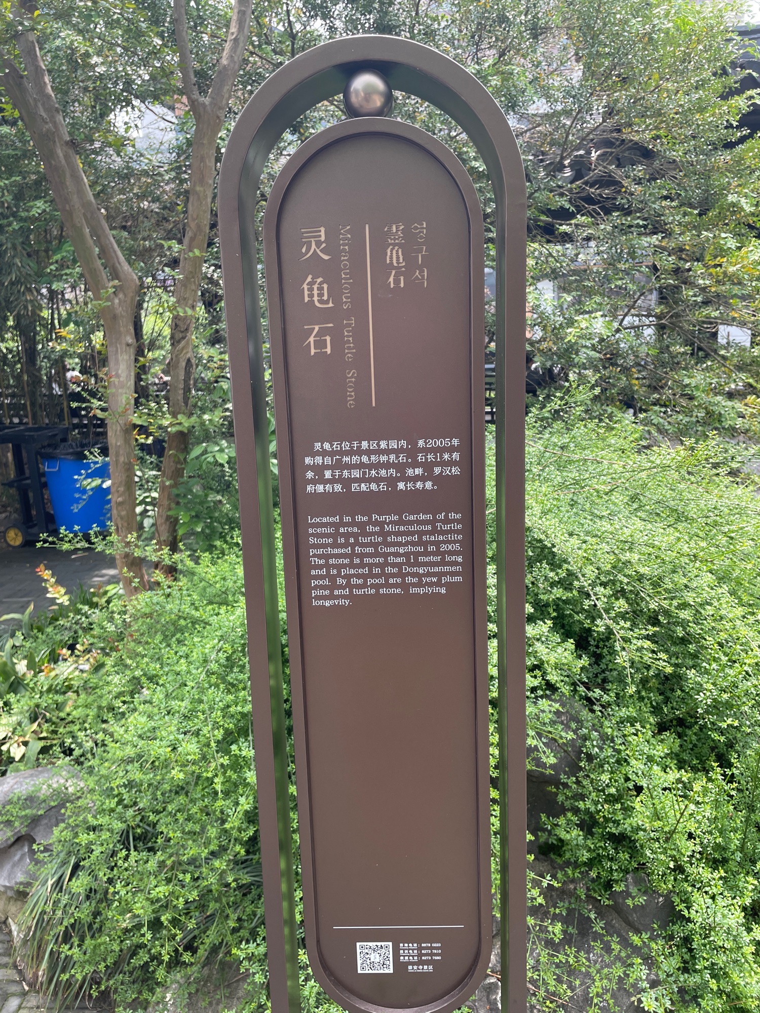 城中公园-灵龟石