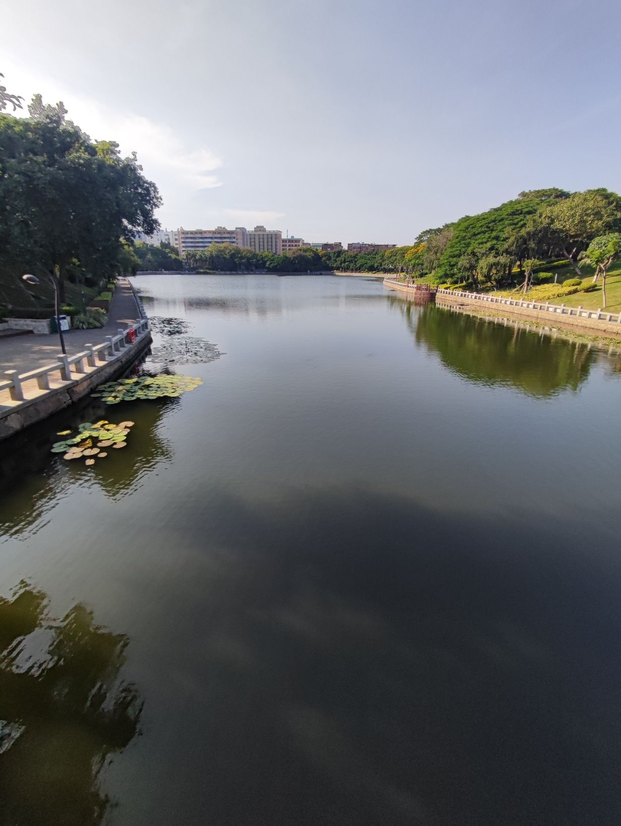 火炬公园旅行图片 1