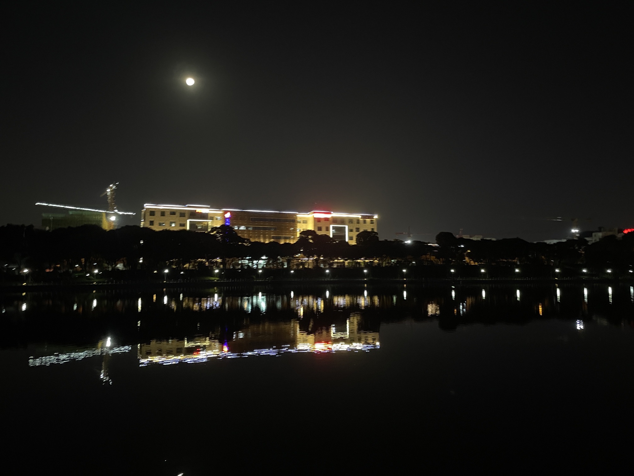 火炬公园旅行图片 1