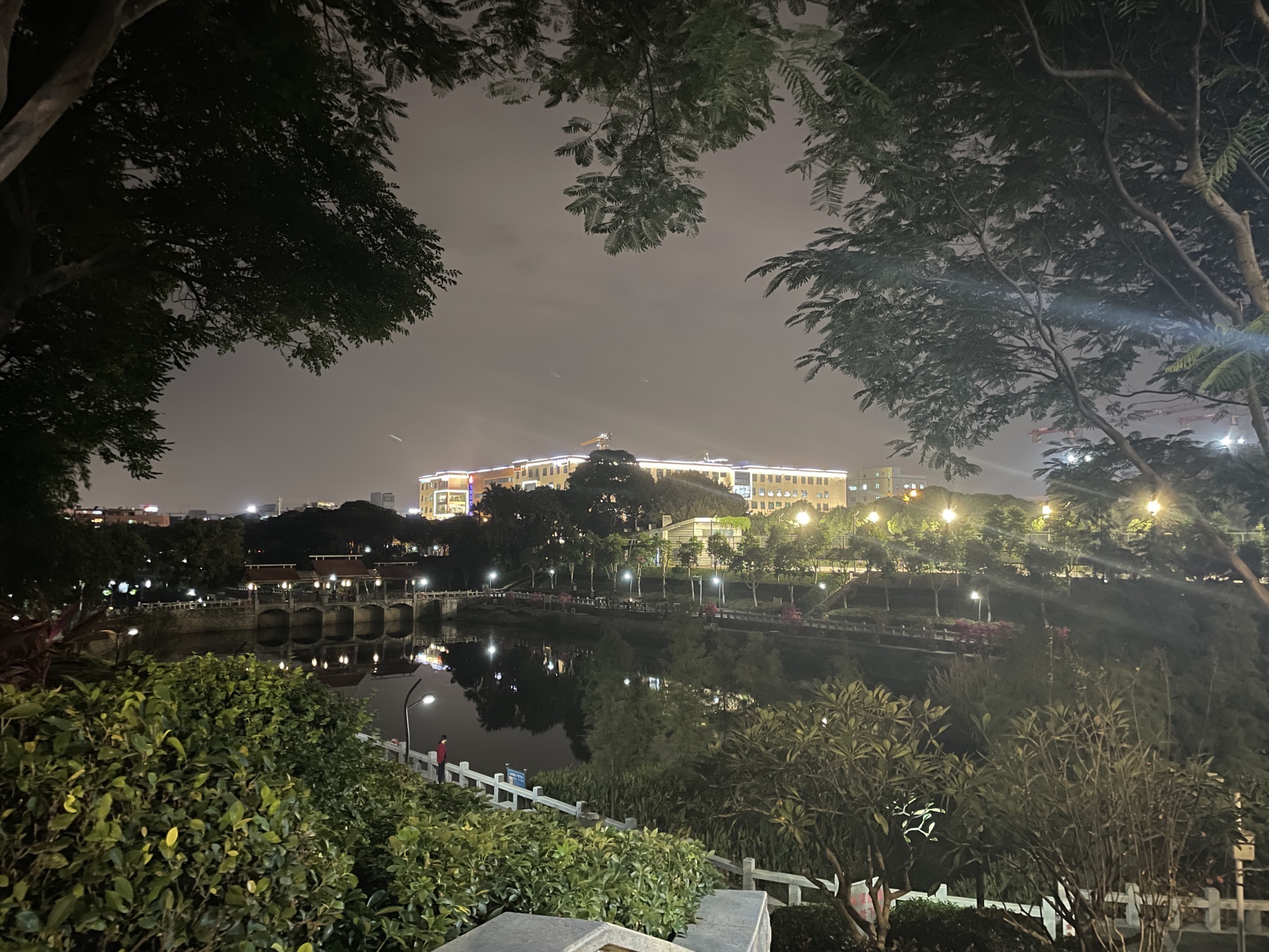 火炬公园旅行图片 3