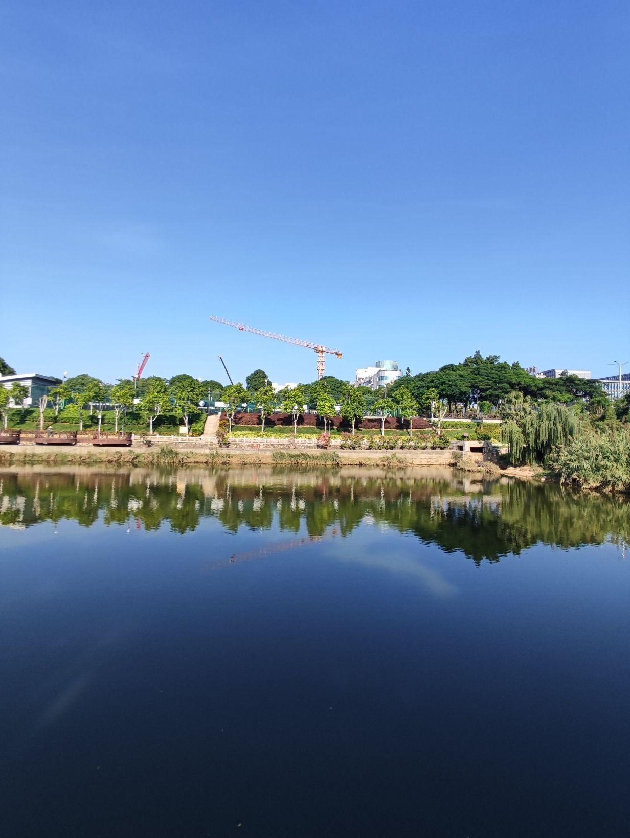 火炬公园旅行图片 2