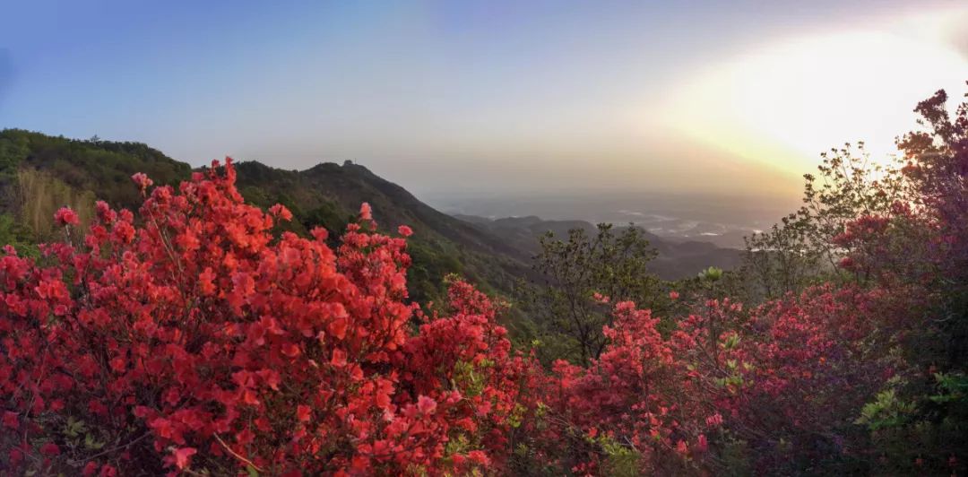 太浮山旅行图片 1