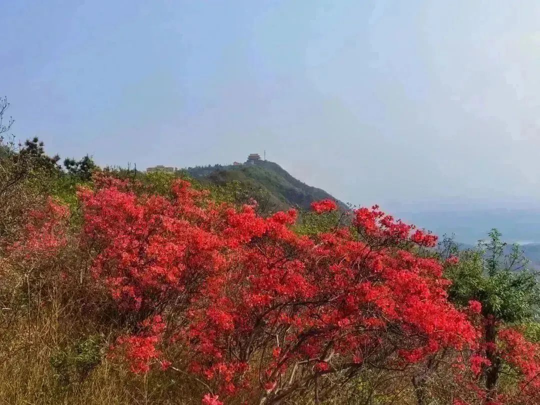 太浮山旅行图片 2