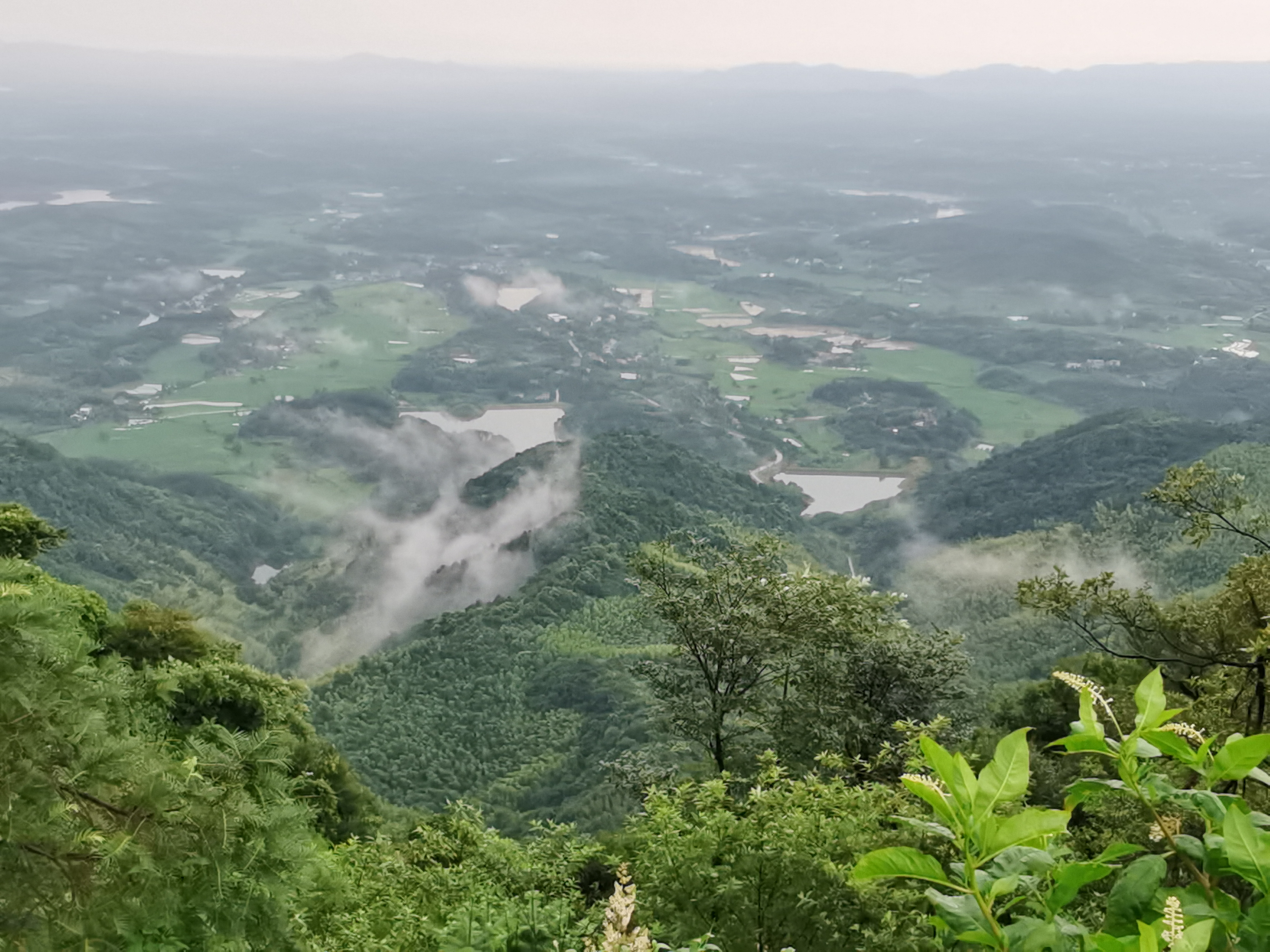 太浮山旅行图片 3