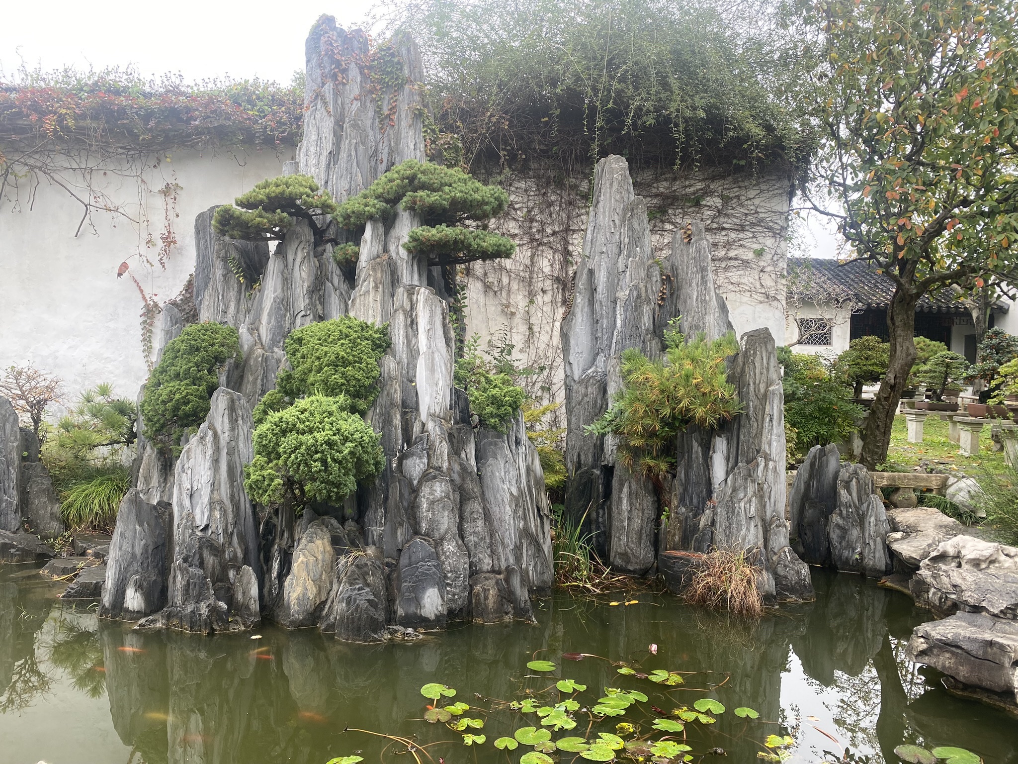 古里古镇旅行图片 3
