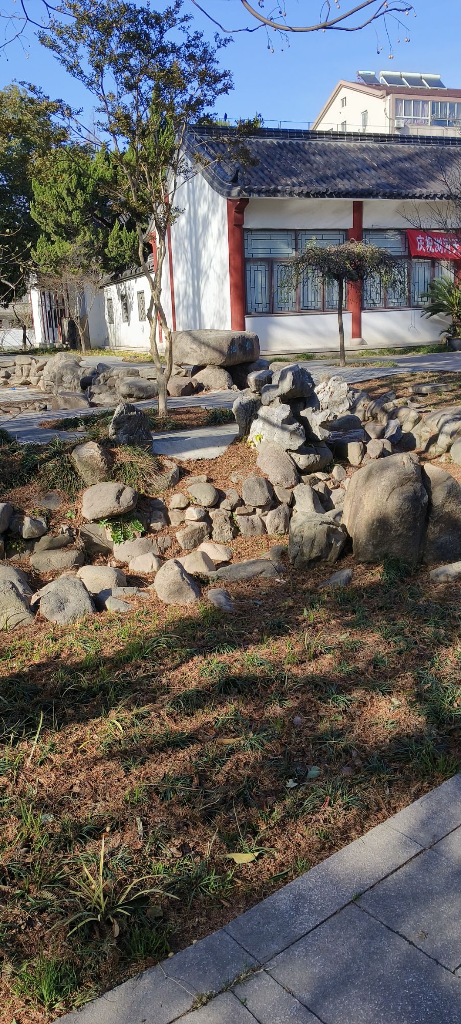 浏河公园旅行图片 2