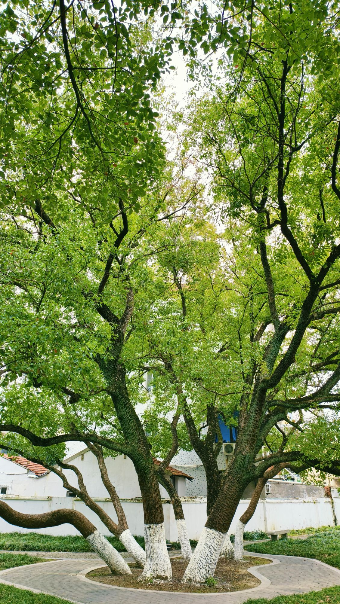 浏河公园旅行图片 2