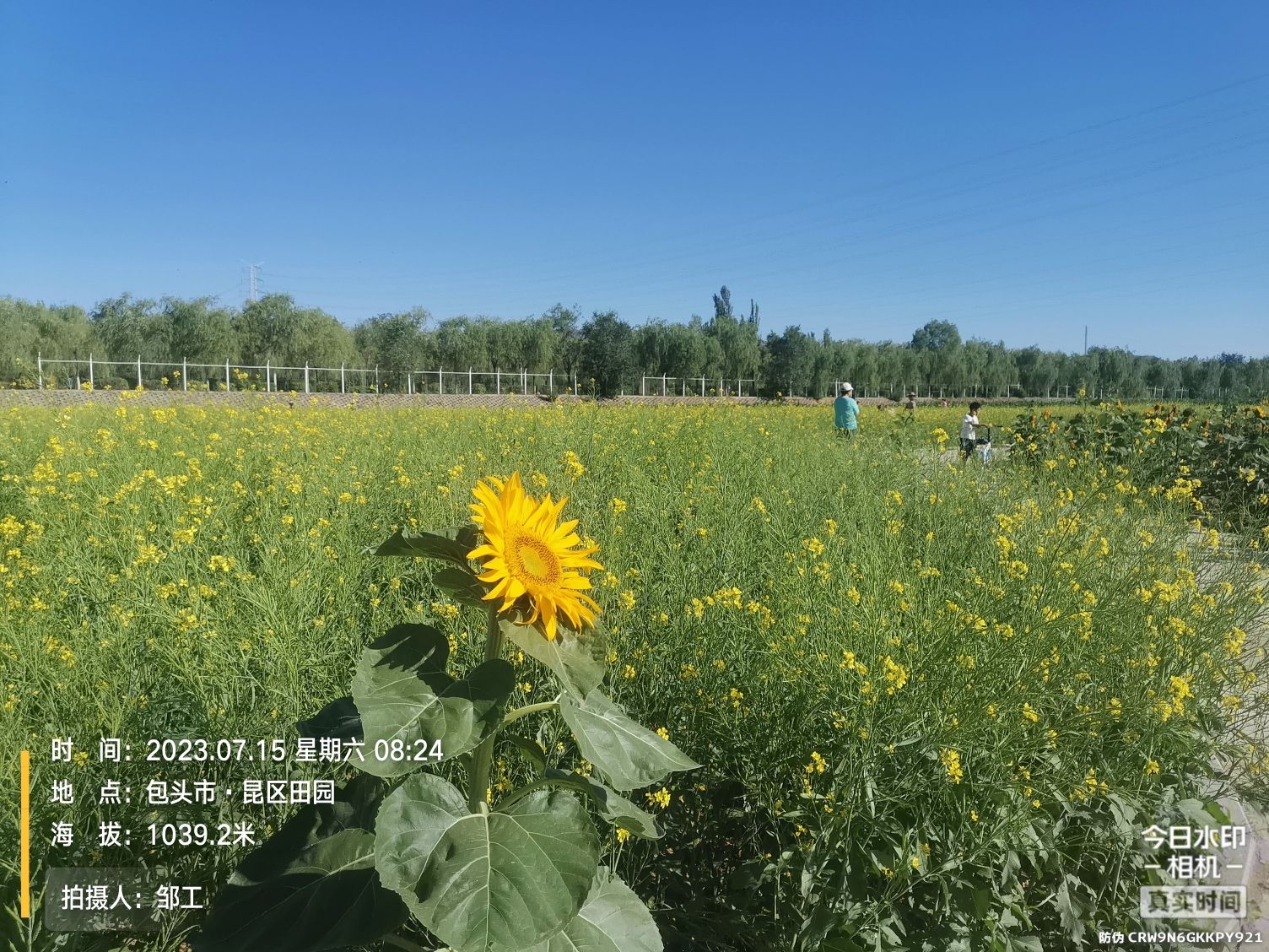 昆都仑河公园旅行图片 2