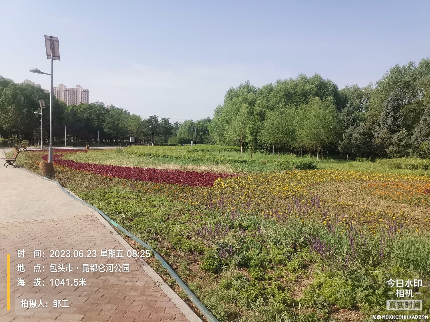 昆都仑河公园旅行图片 2