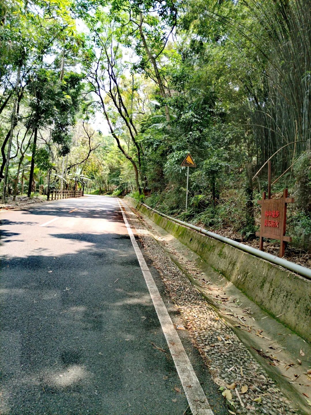 砚峰公园旅行图片 3