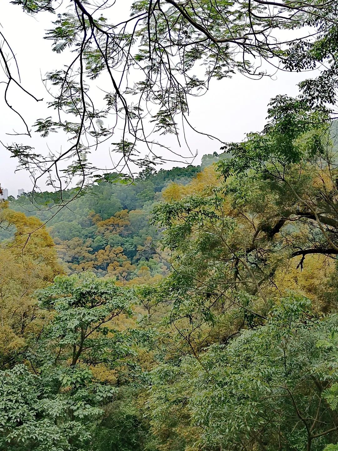 砚峰公园旅行图片 2