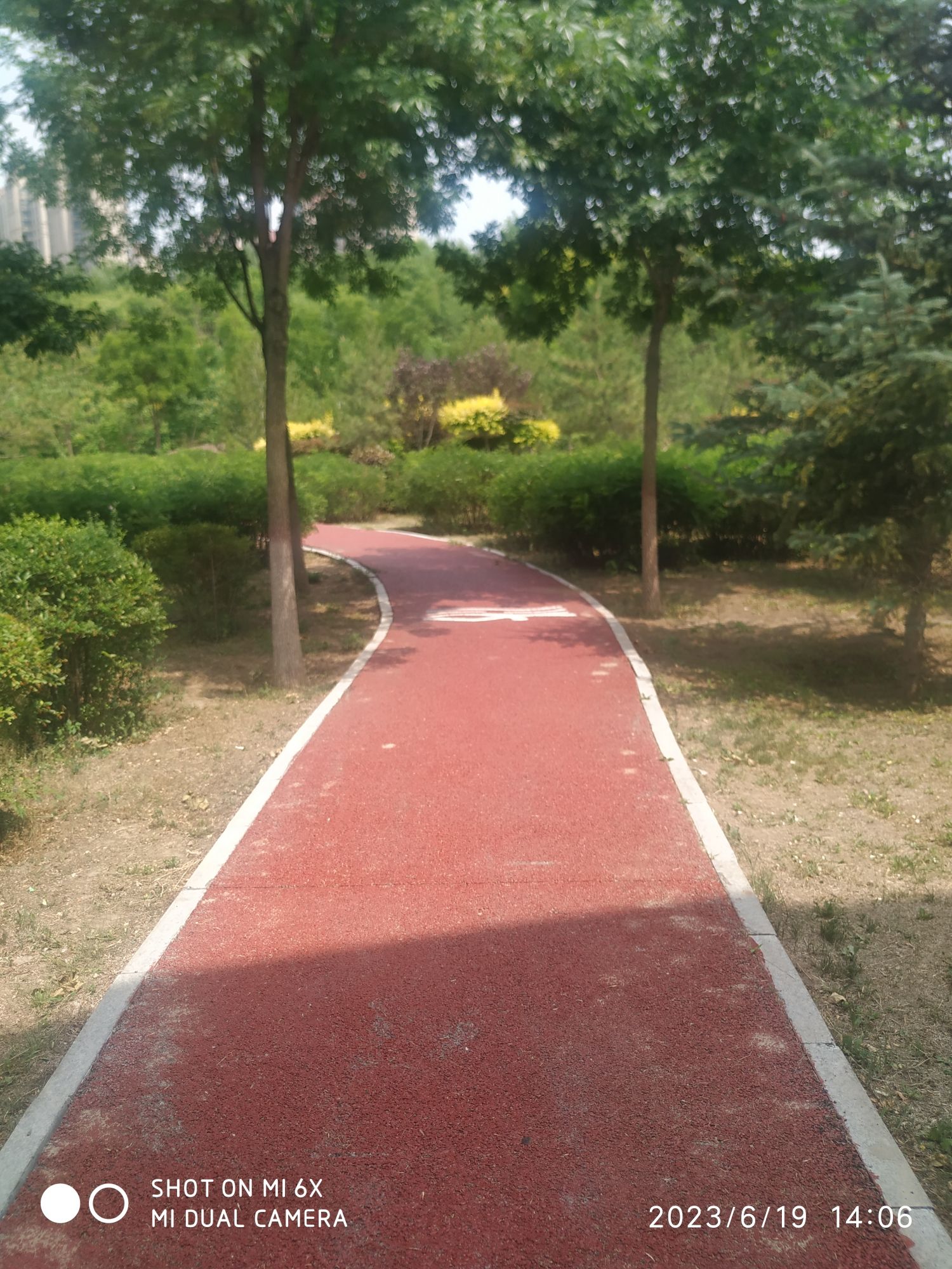 秋岭公园旅行图片 1