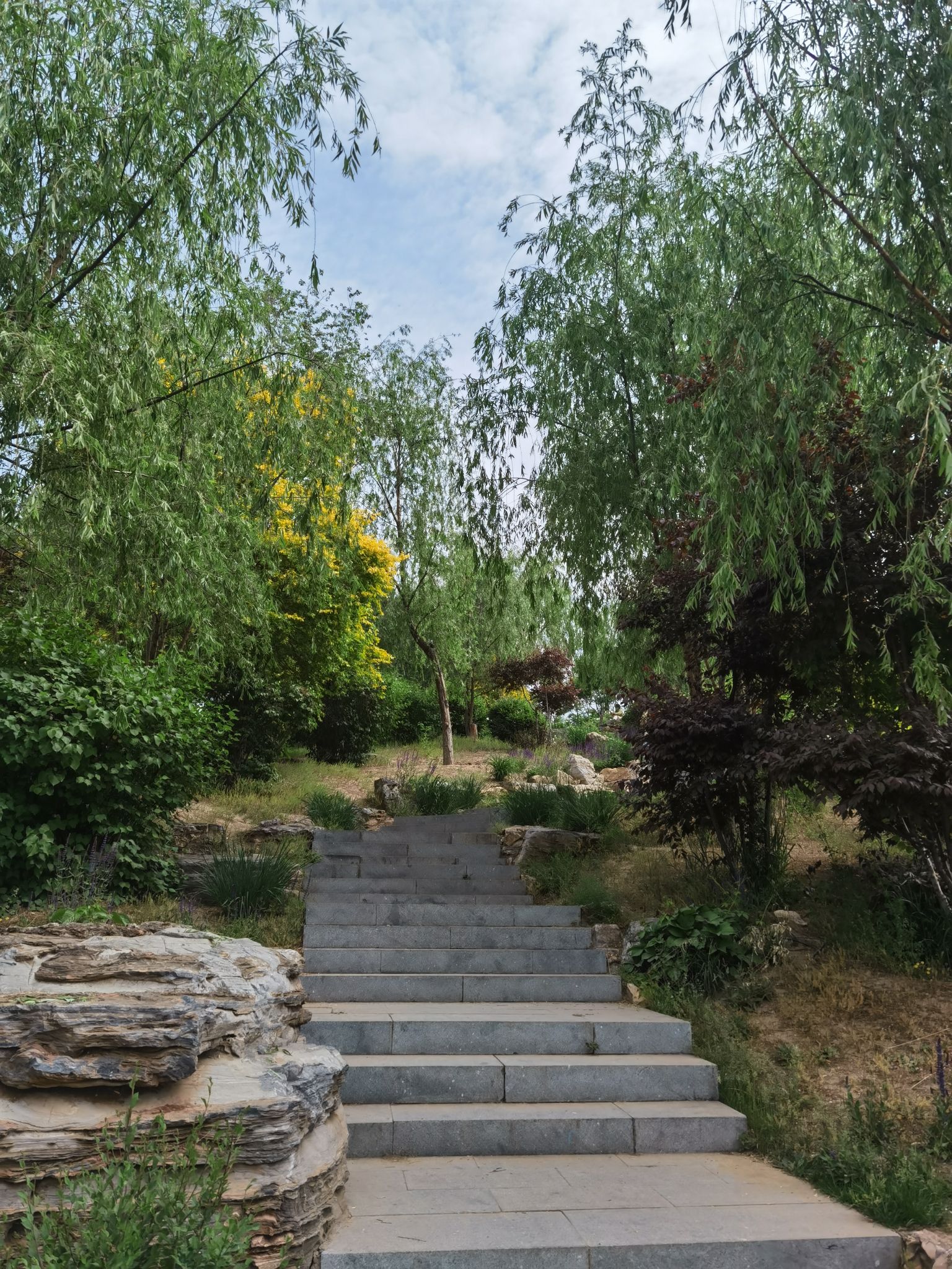 秋岭公园旅行图片 2