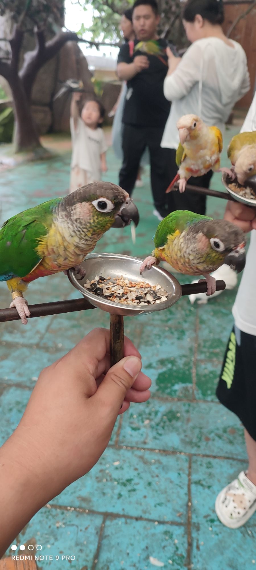 萌宝亲子动物园旅行图片 3