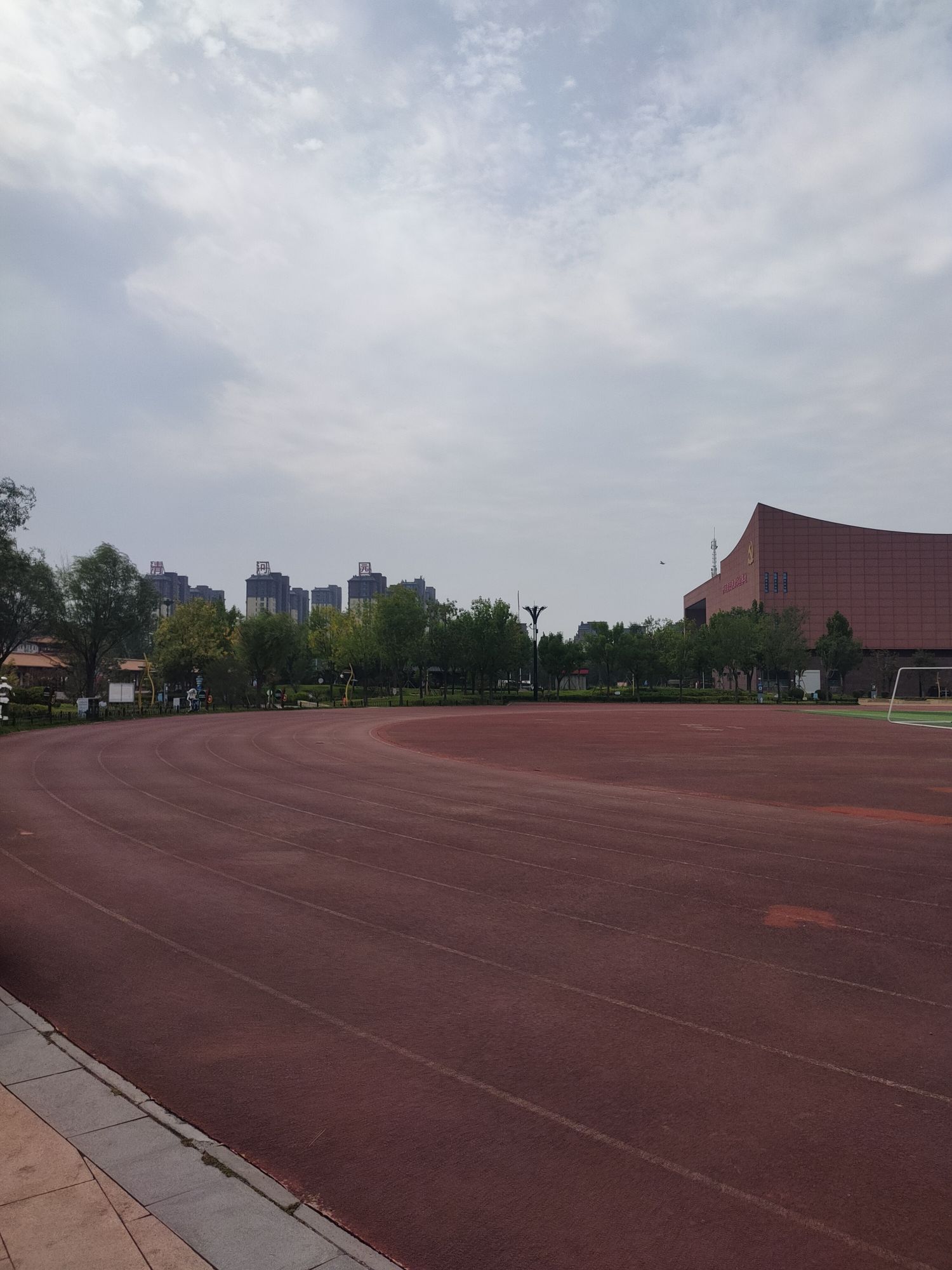 齐河体育公园旅行图片 2