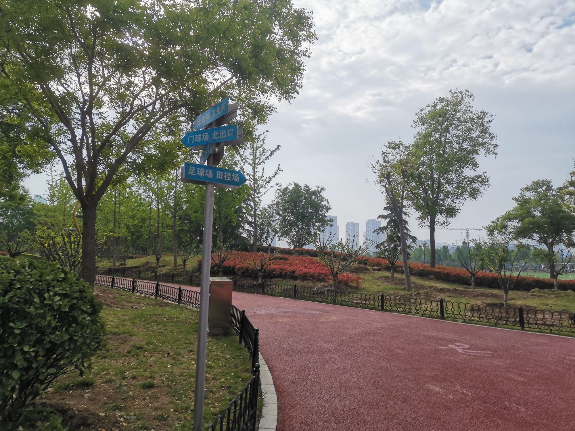 齐河体育公园旅行图片 3