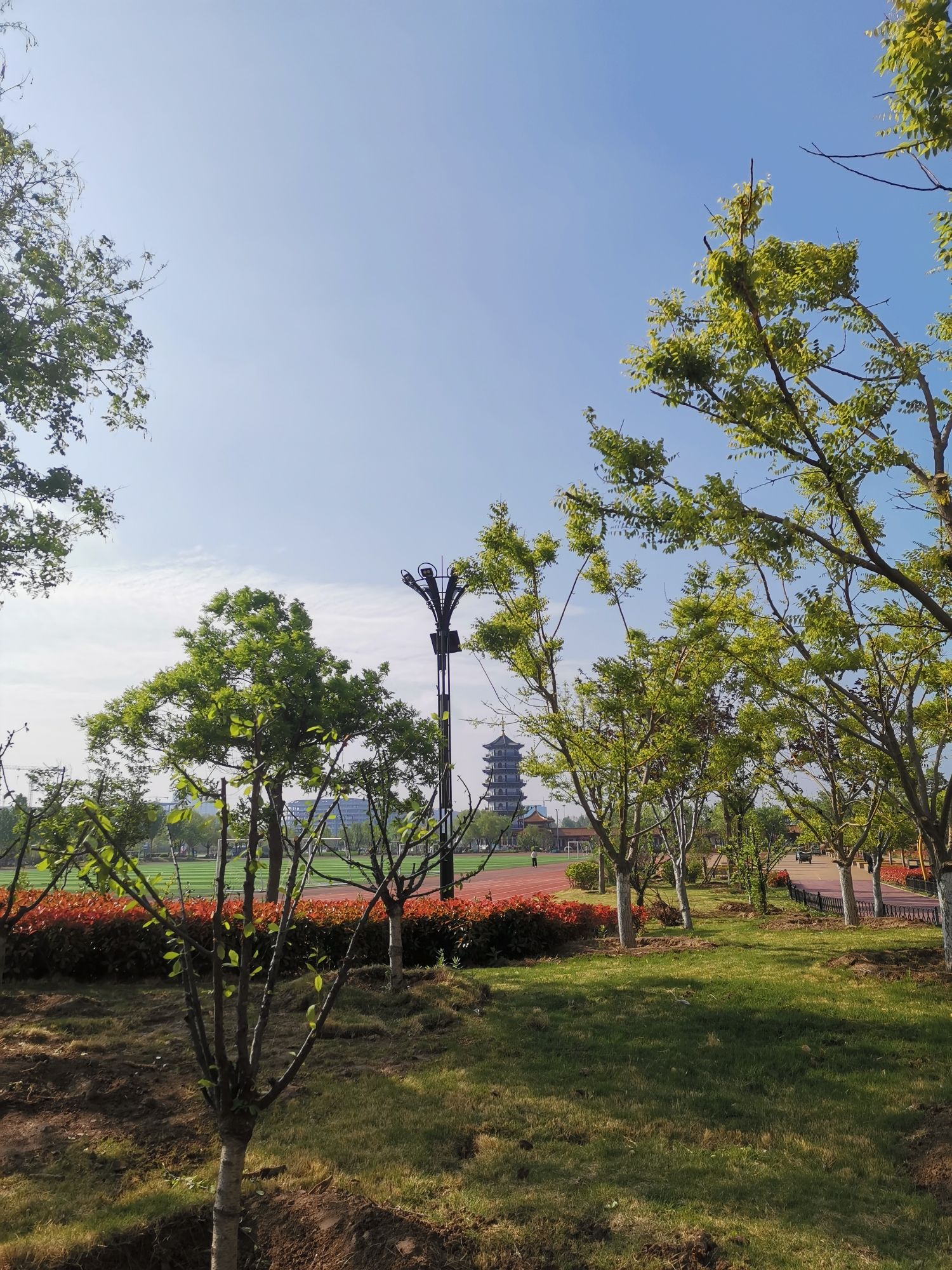 齐河体育公园旅行图片 2