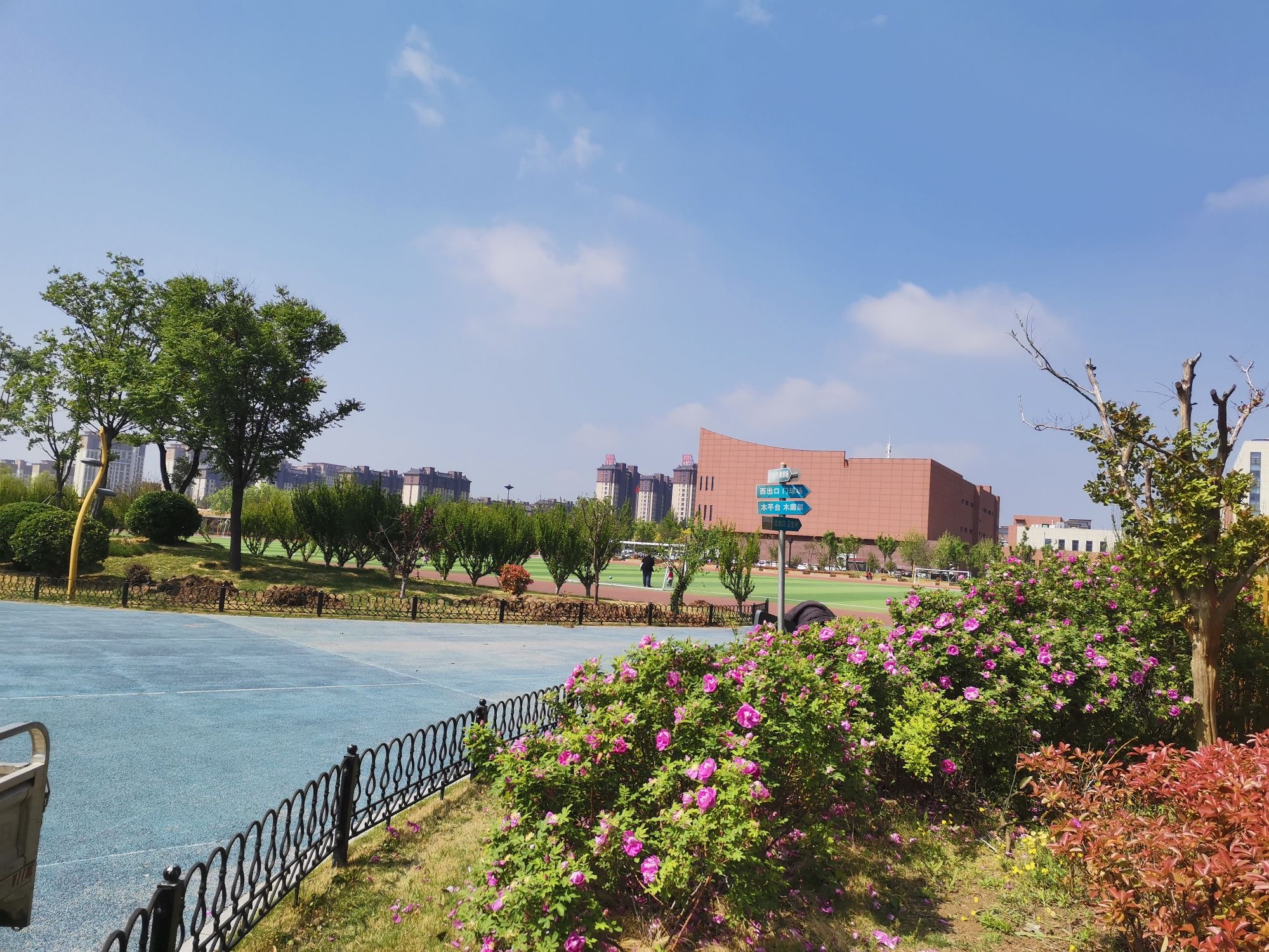 齐河体育公园旅行图片 1