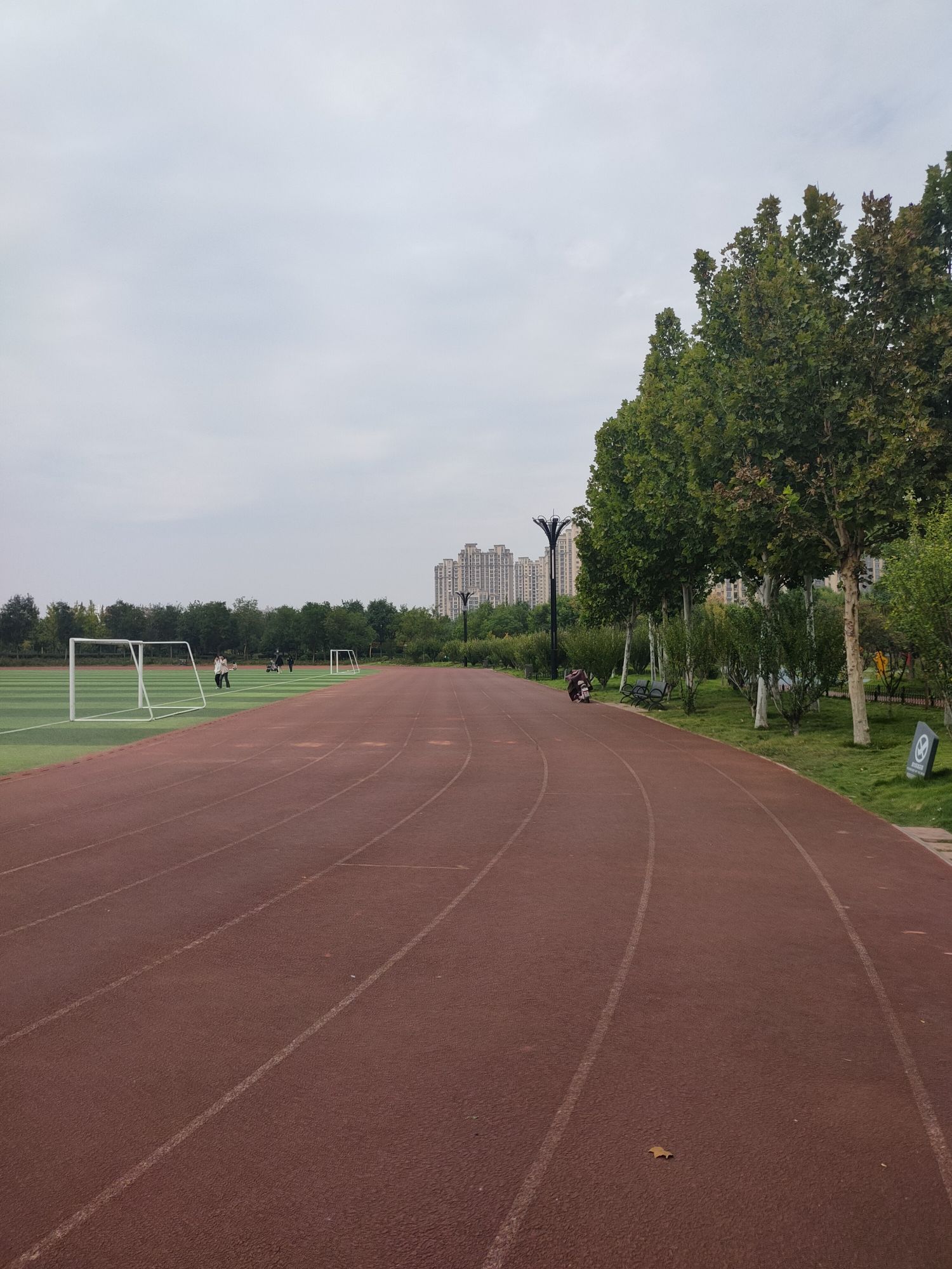 齐河体育公园旅行图片 3