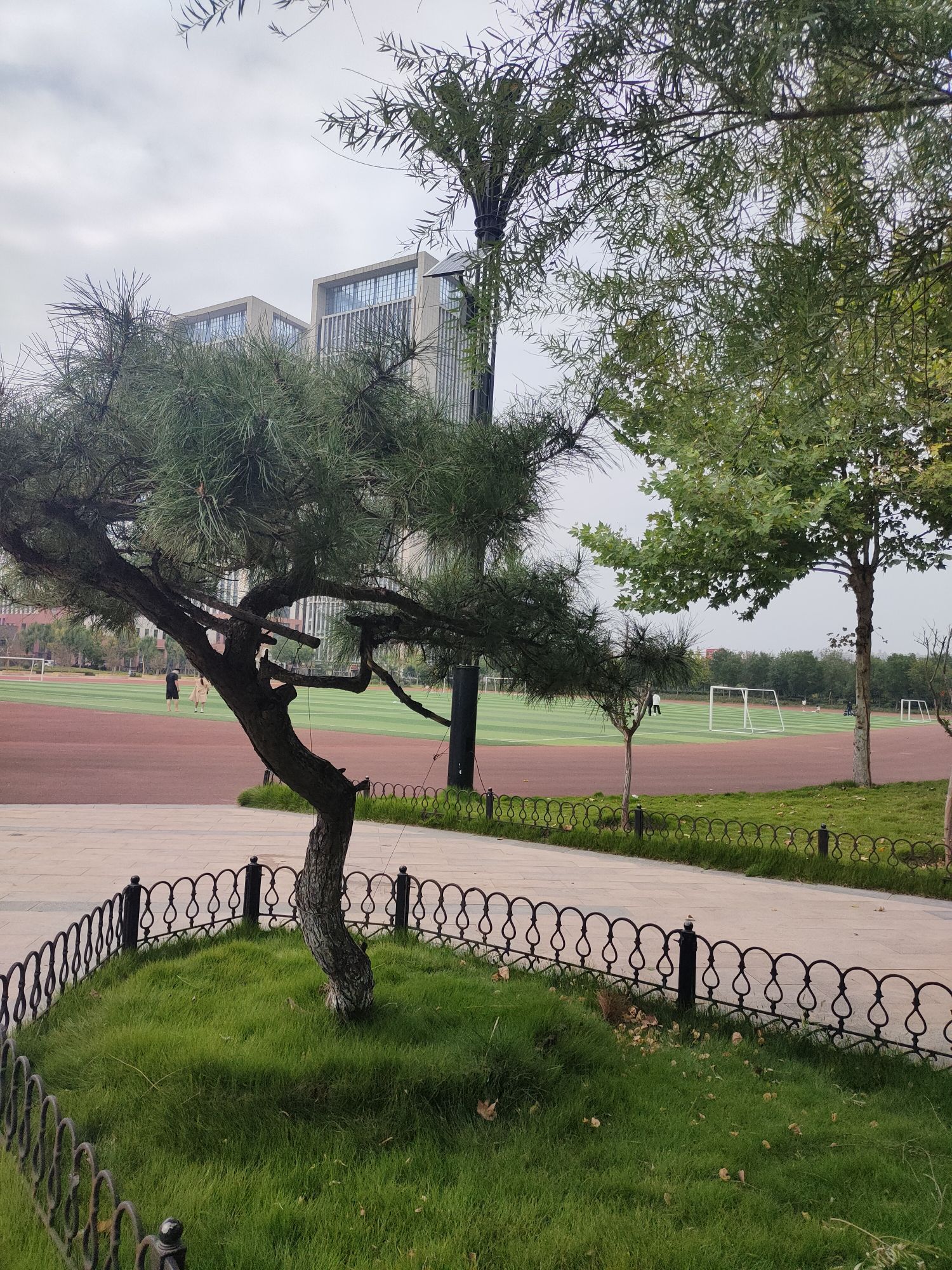 齐河体育公园旅行图片 1