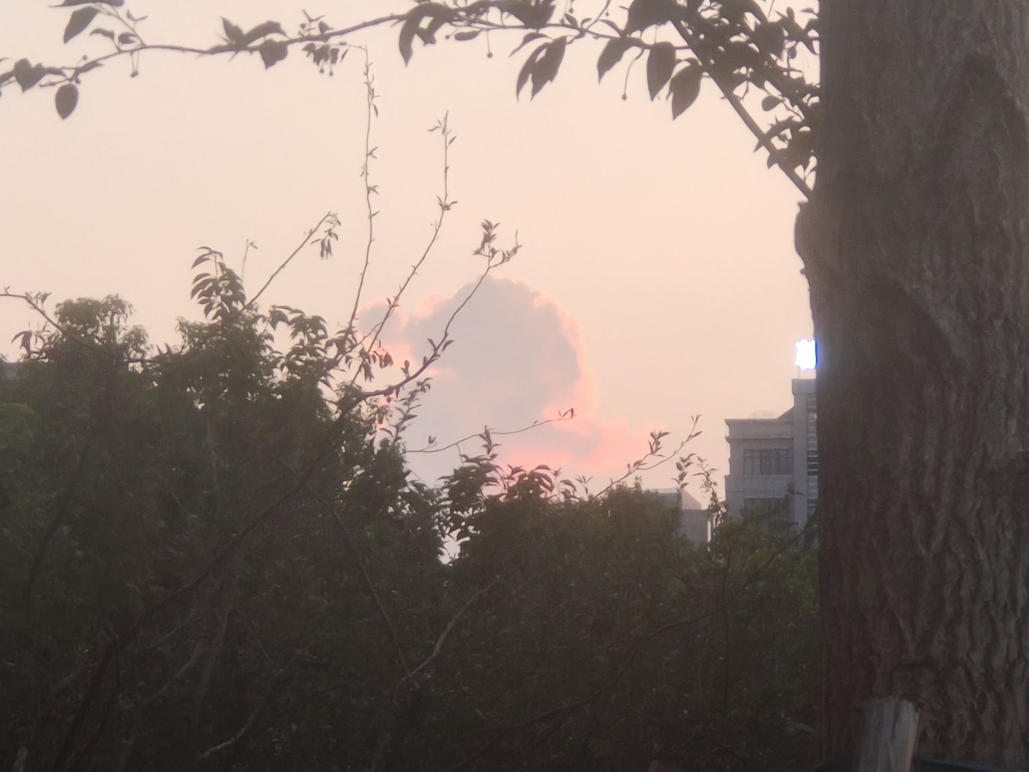 智慧广场旅行图片 1