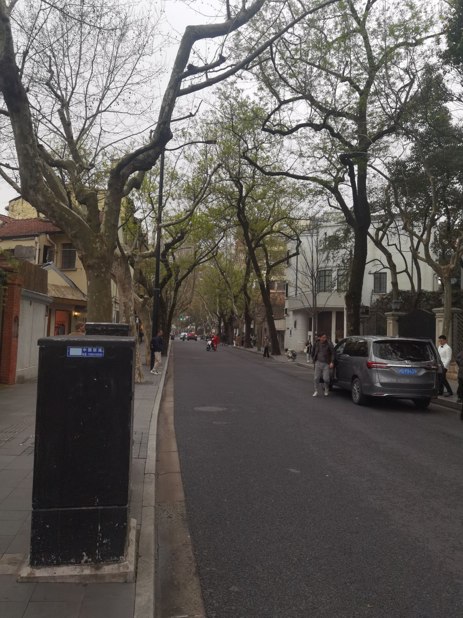 武康路历史文化名街旅行图片 3