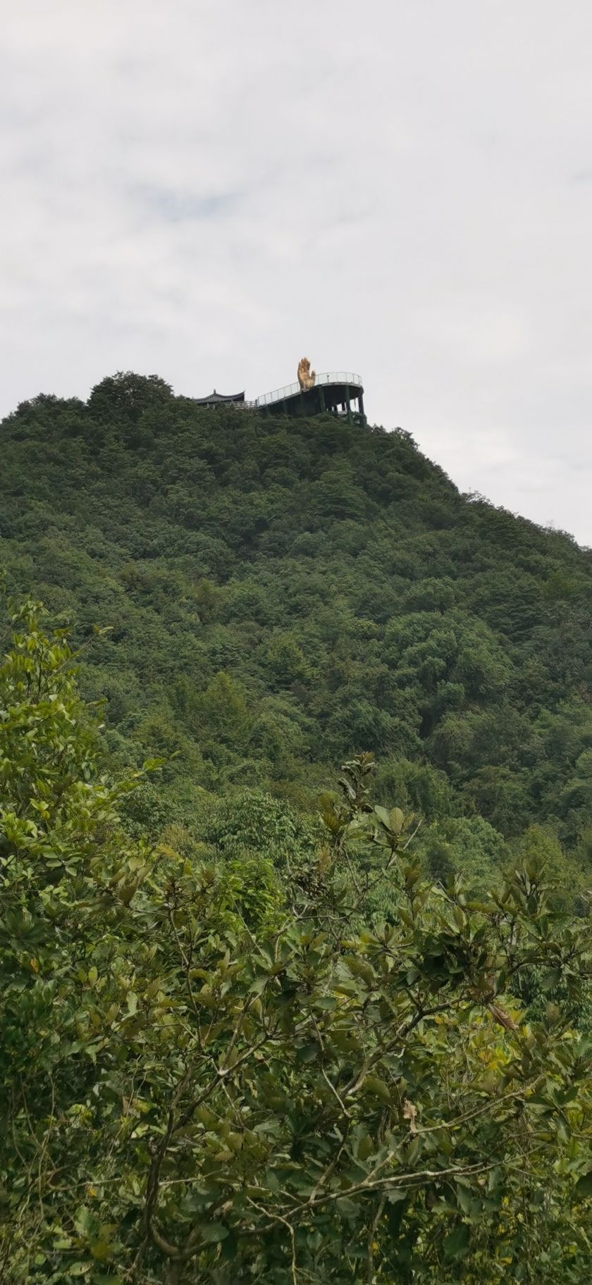 佛手台旅行图片 2
