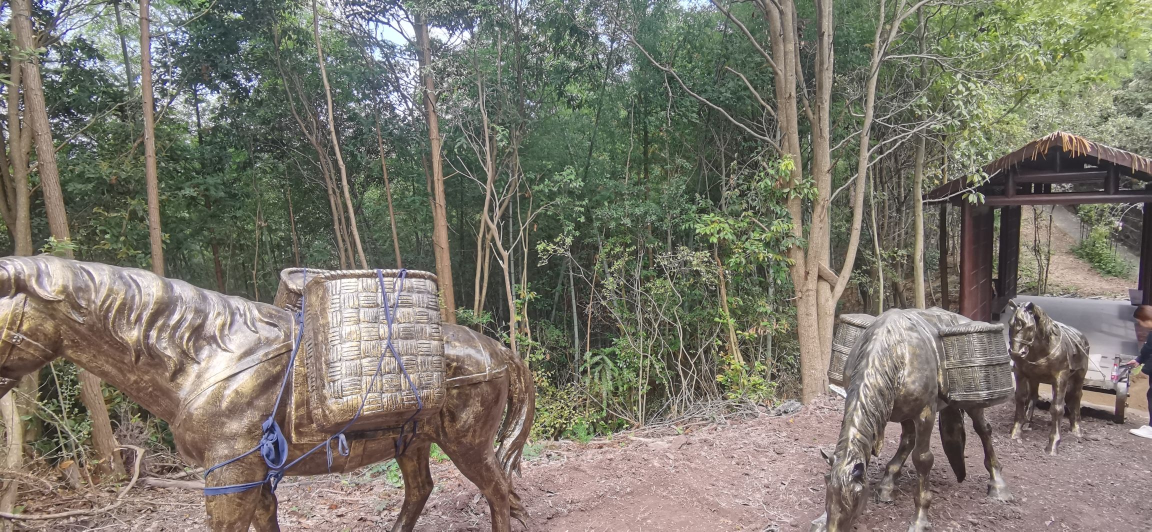 佛手台旅行图片 3