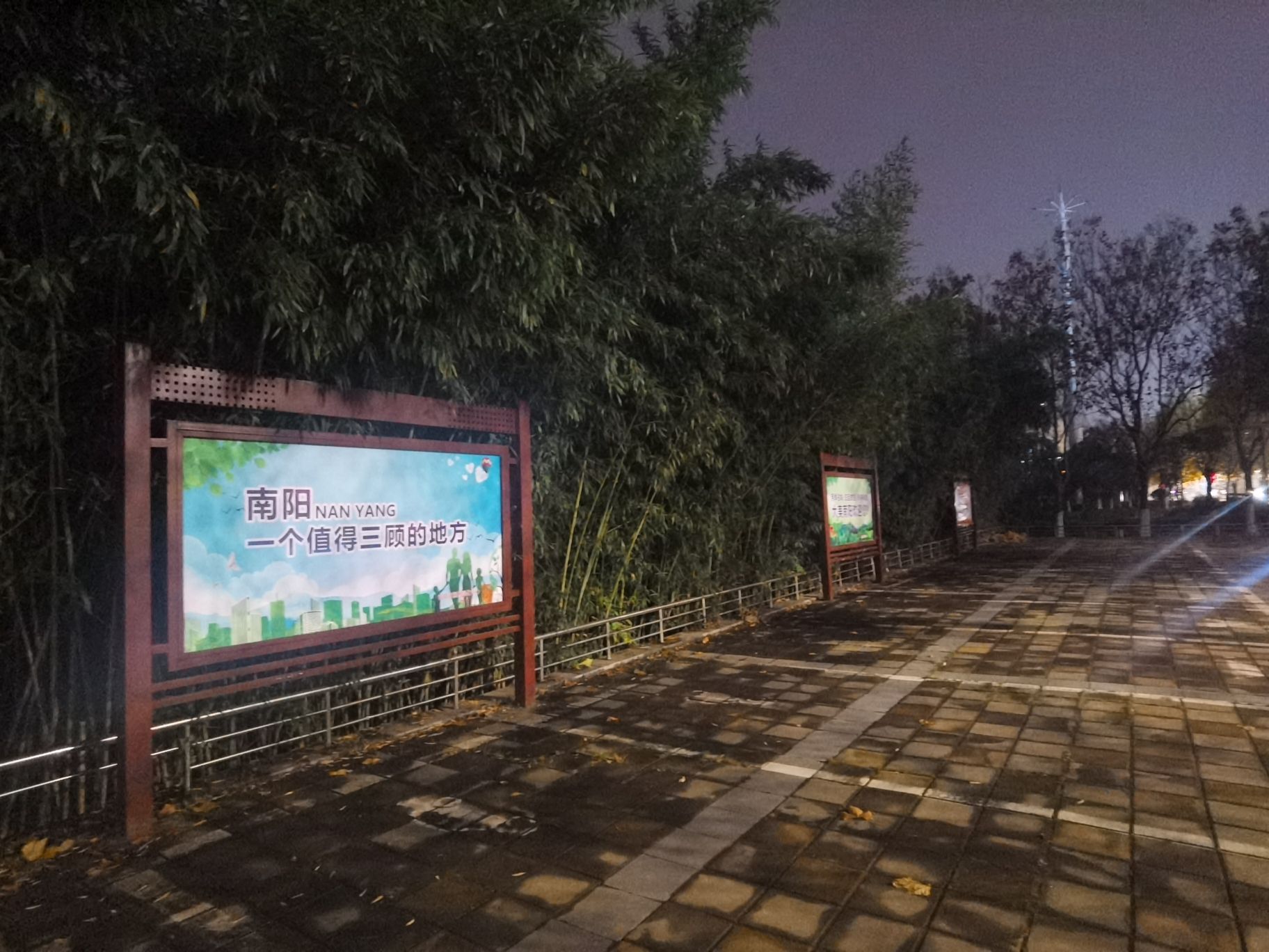 南阳月季公园旅行图片 1