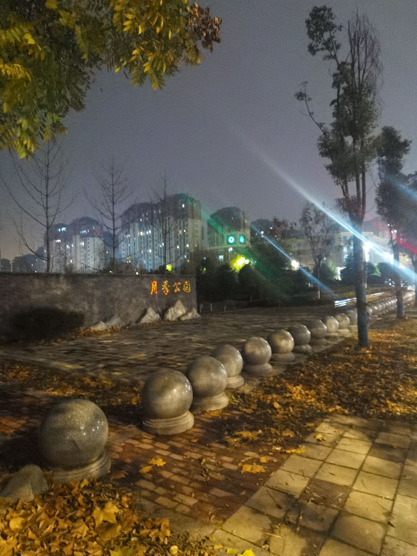 南阳月季公园旅行图片 3