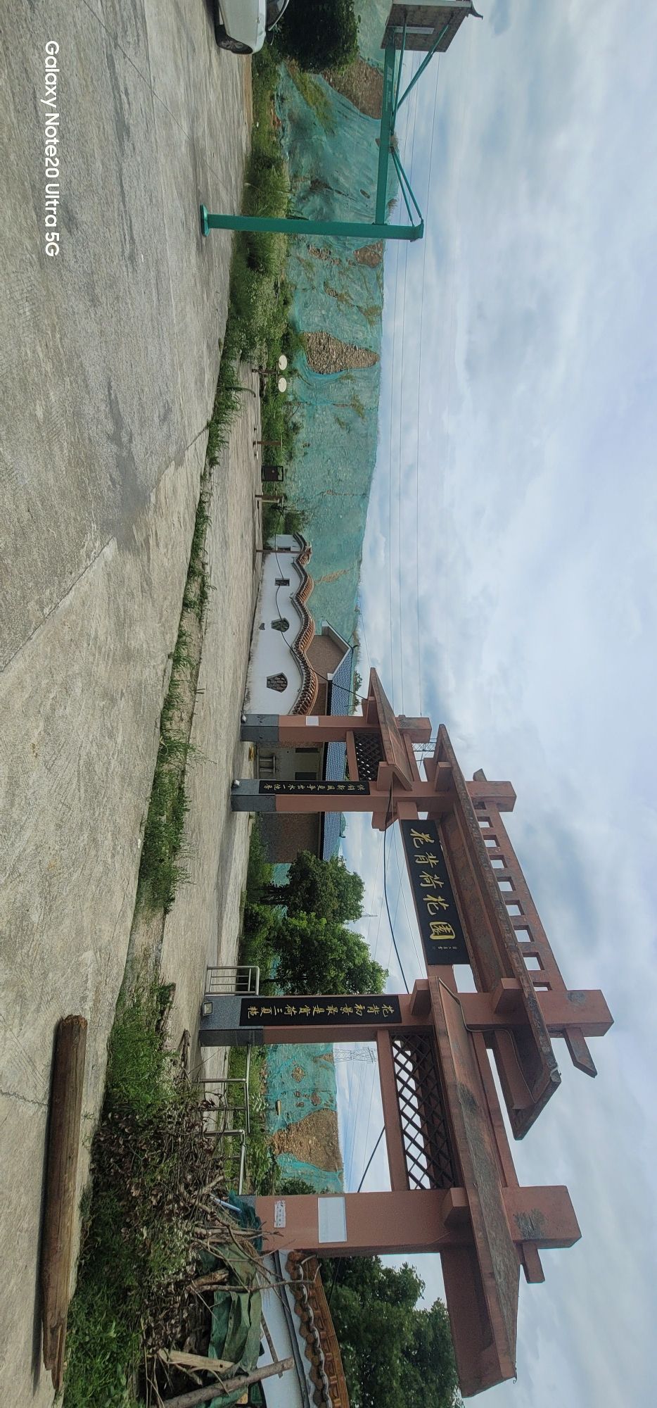 花背荷花园旅行图片 1