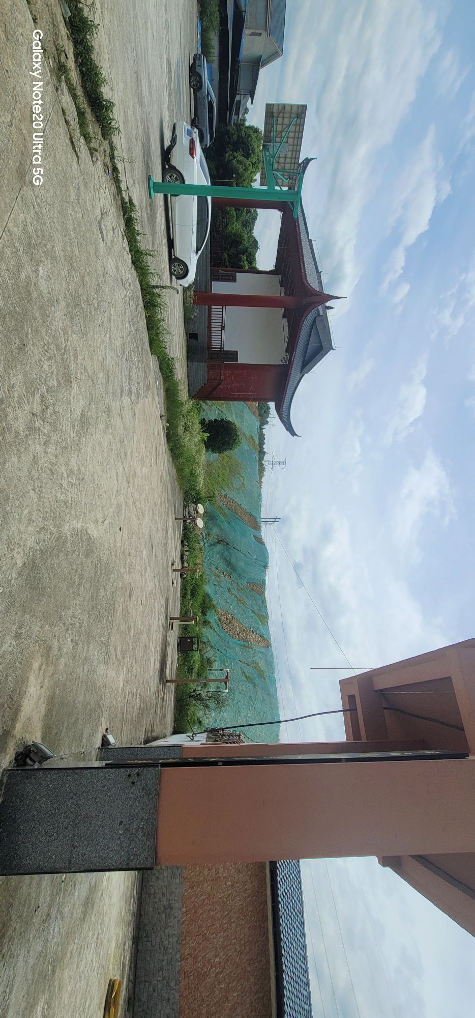 花背荷花园旅行图片 2