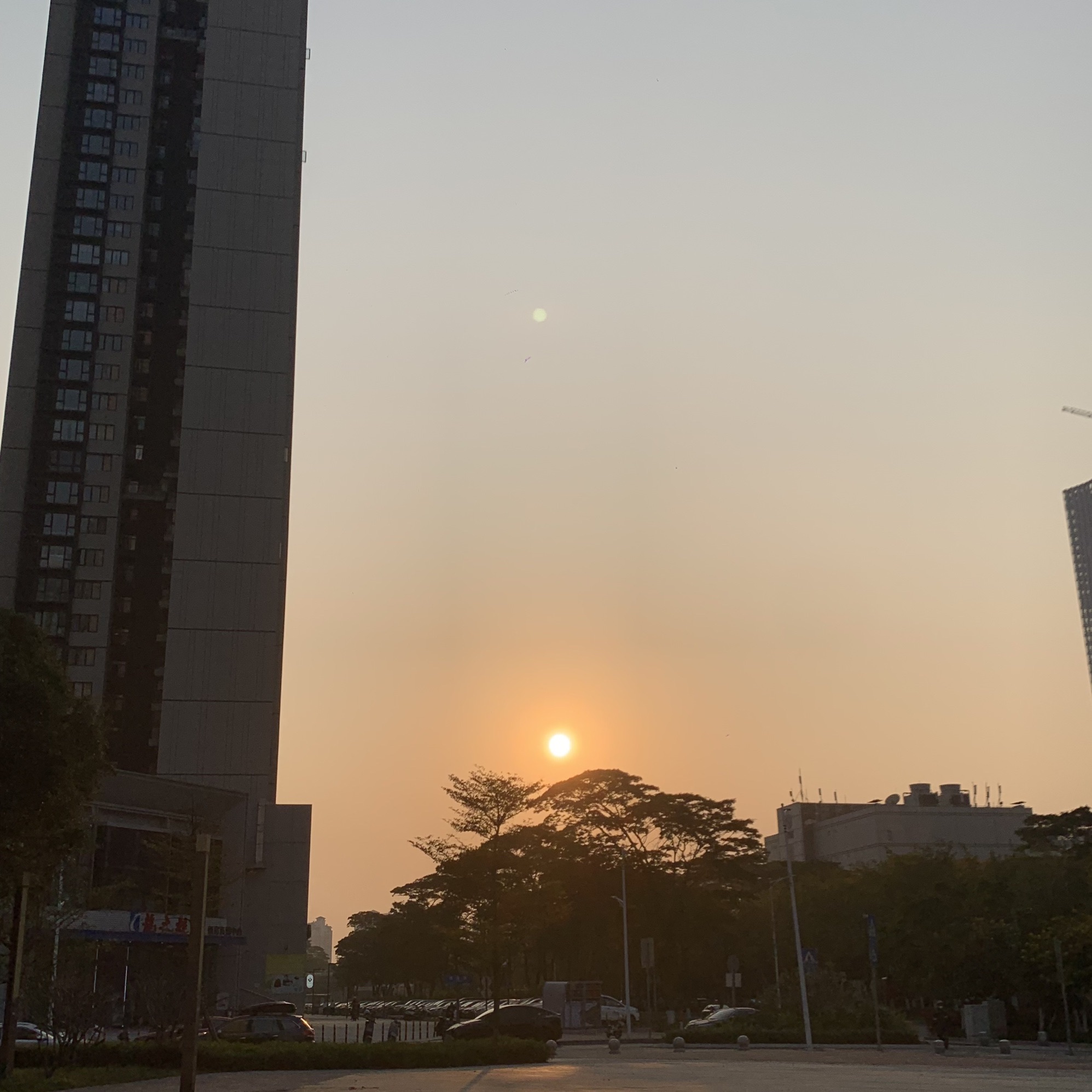 将军山体育公园旅行图片 3