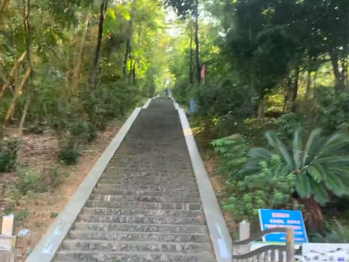 将军山体育公园旅行图片 2