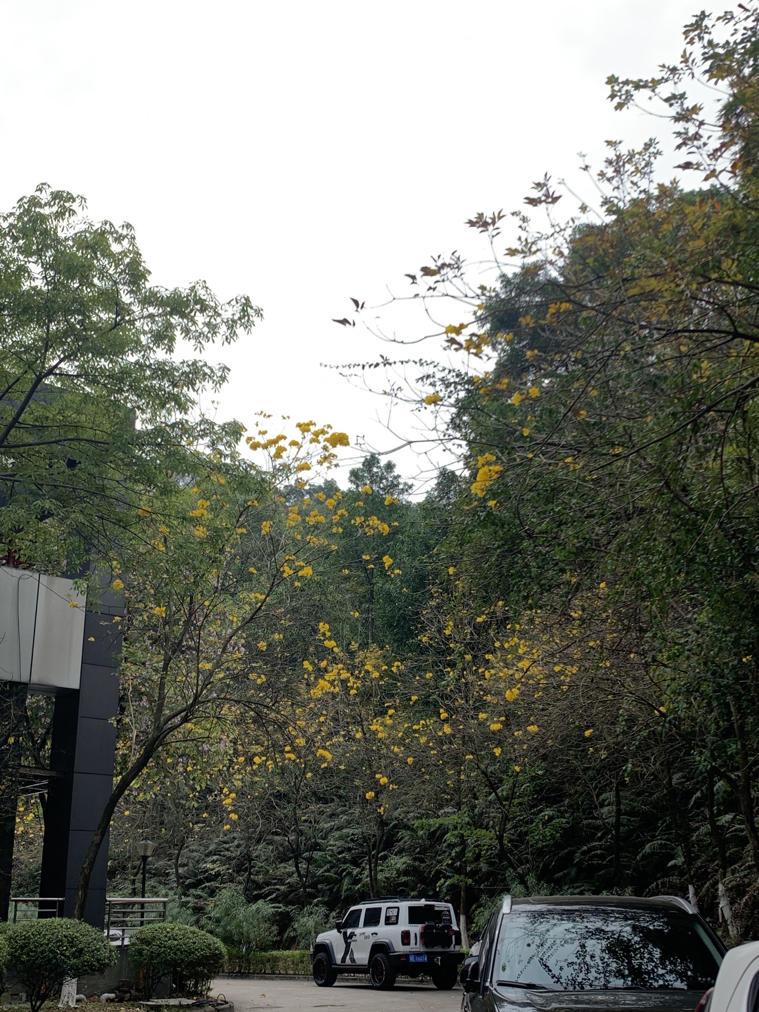将军山体育公园旅行图片 2