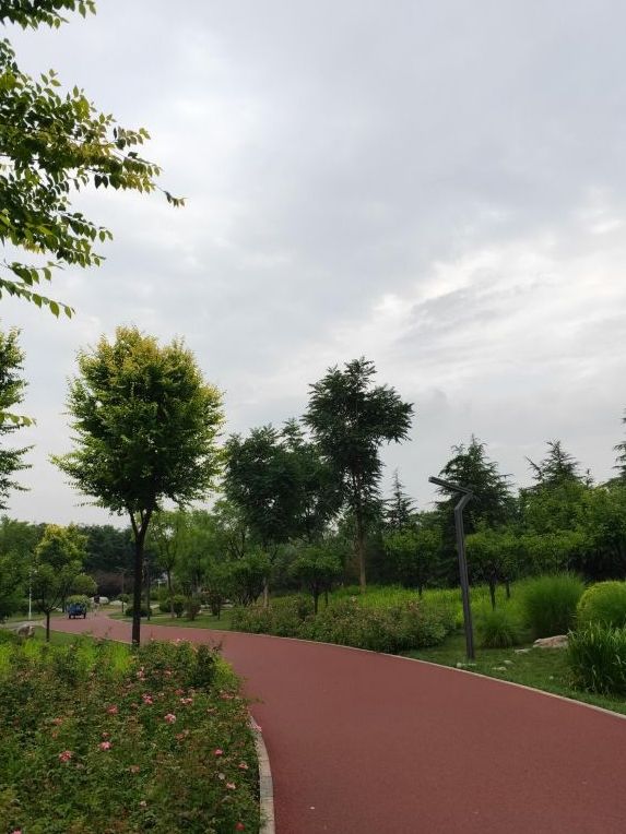 新华公园旅行图片 3
