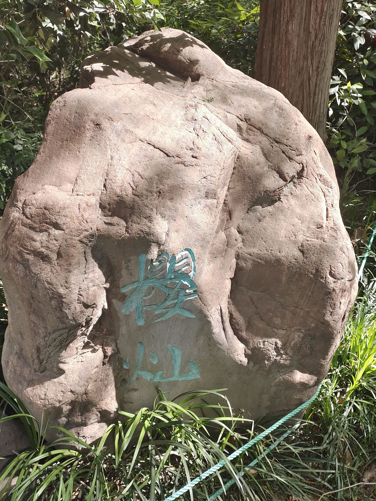 南三环中水公园旅行图片 2