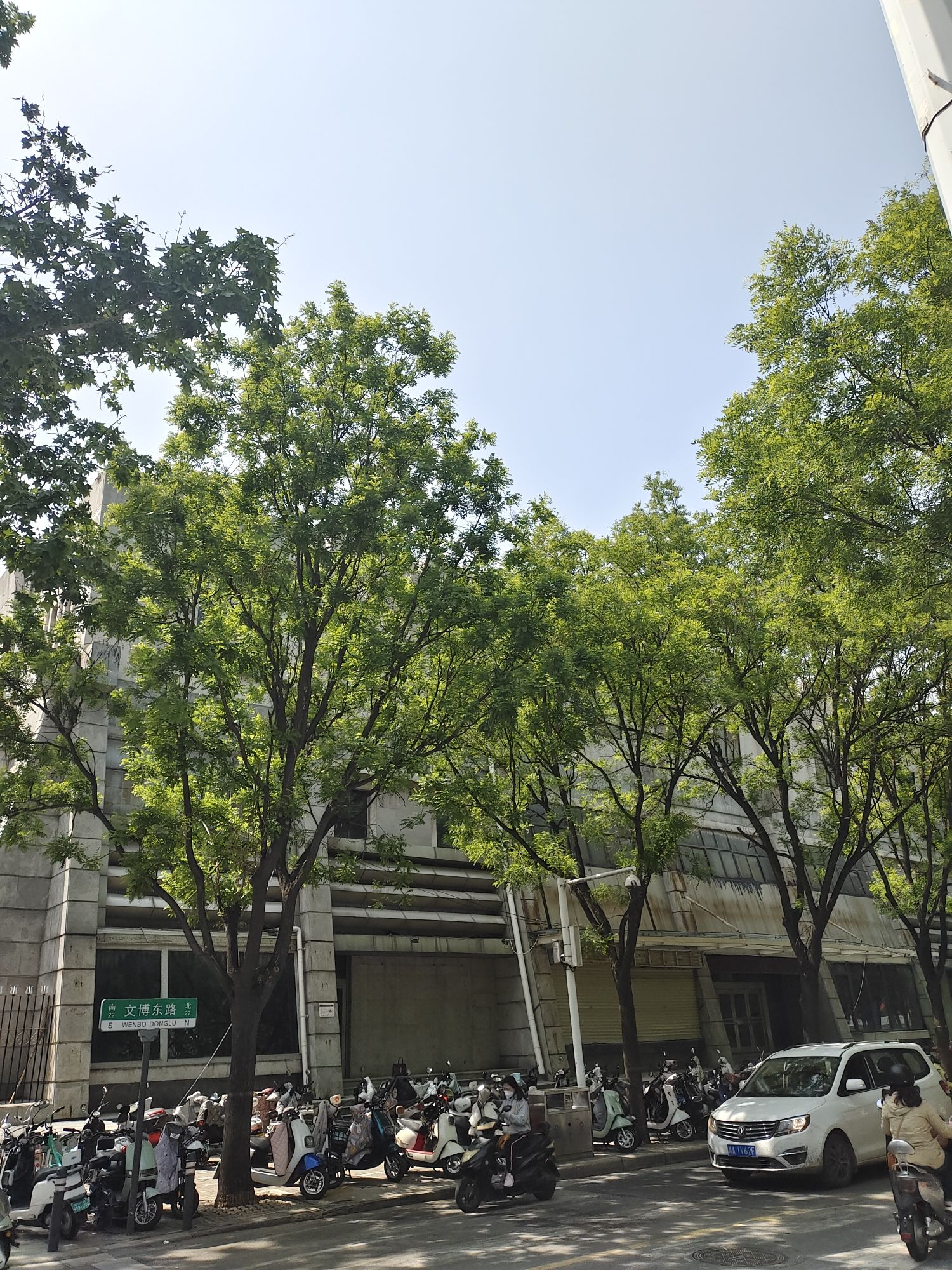 南三环中水公园旅行图片 3
